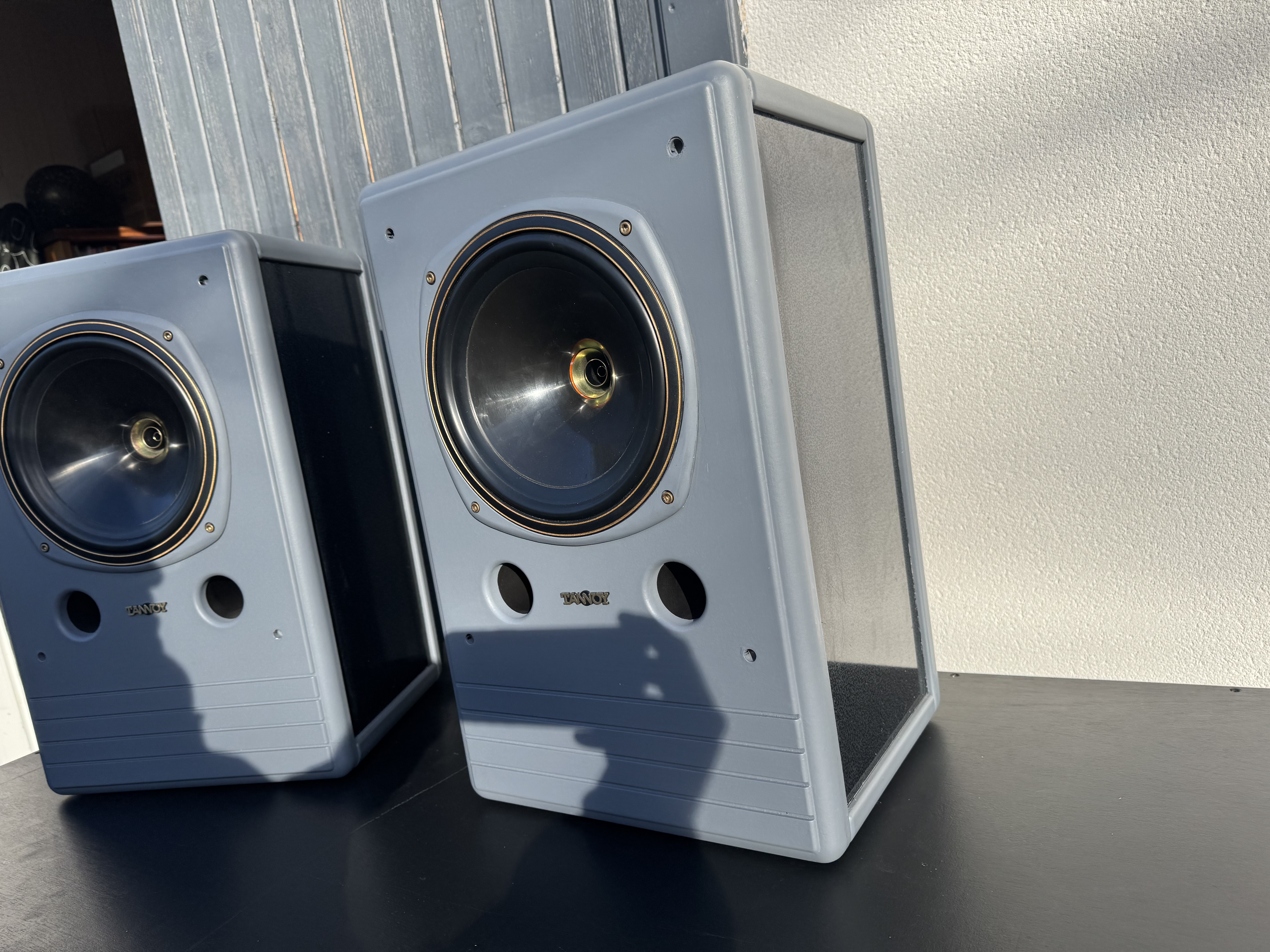 Tannoy DMT 10 (87101)