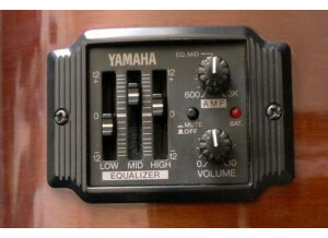 Yamaha FG-411-12 (41949)