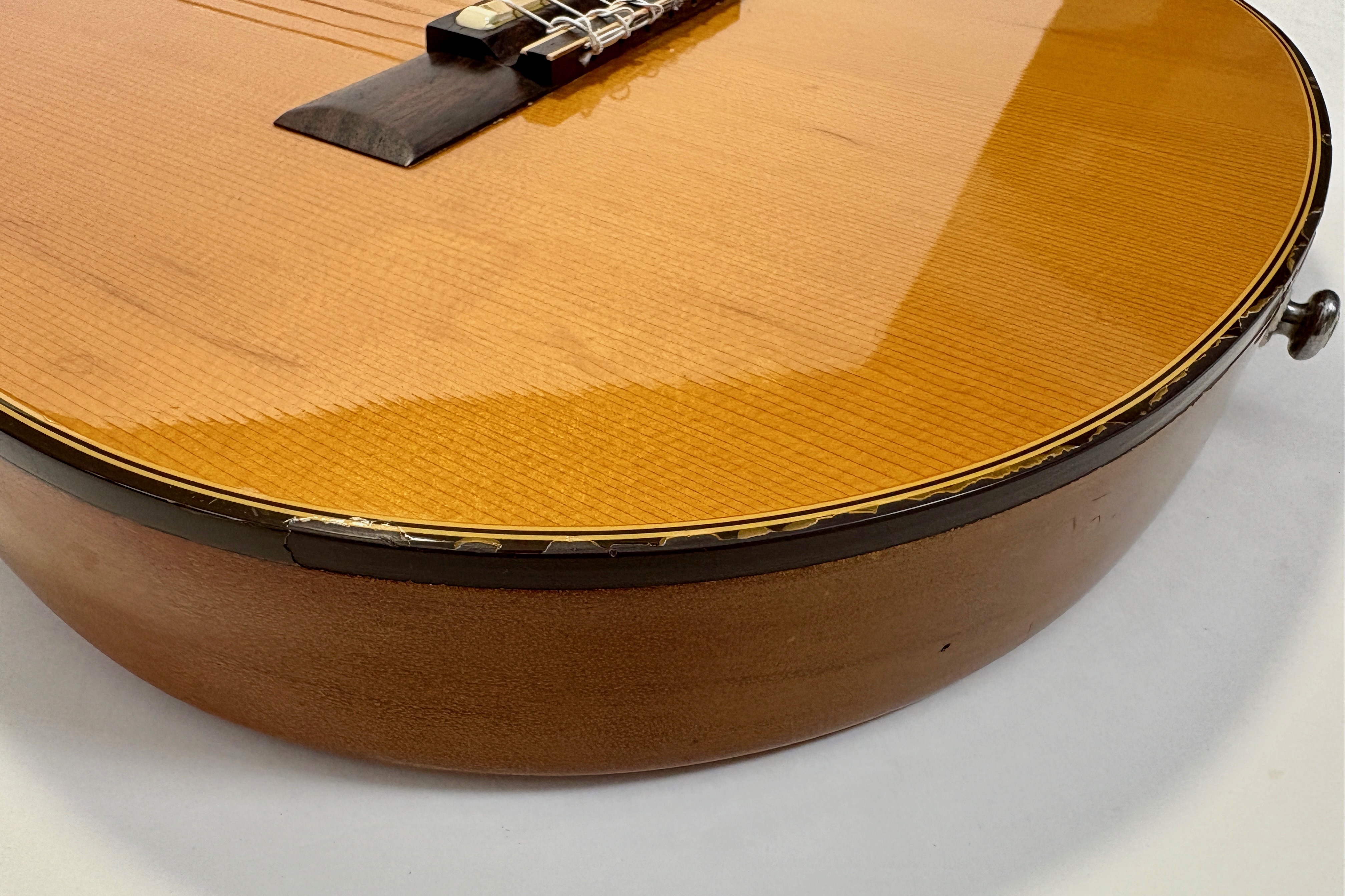Gibson Chet Atkins CE/CEC (26048)