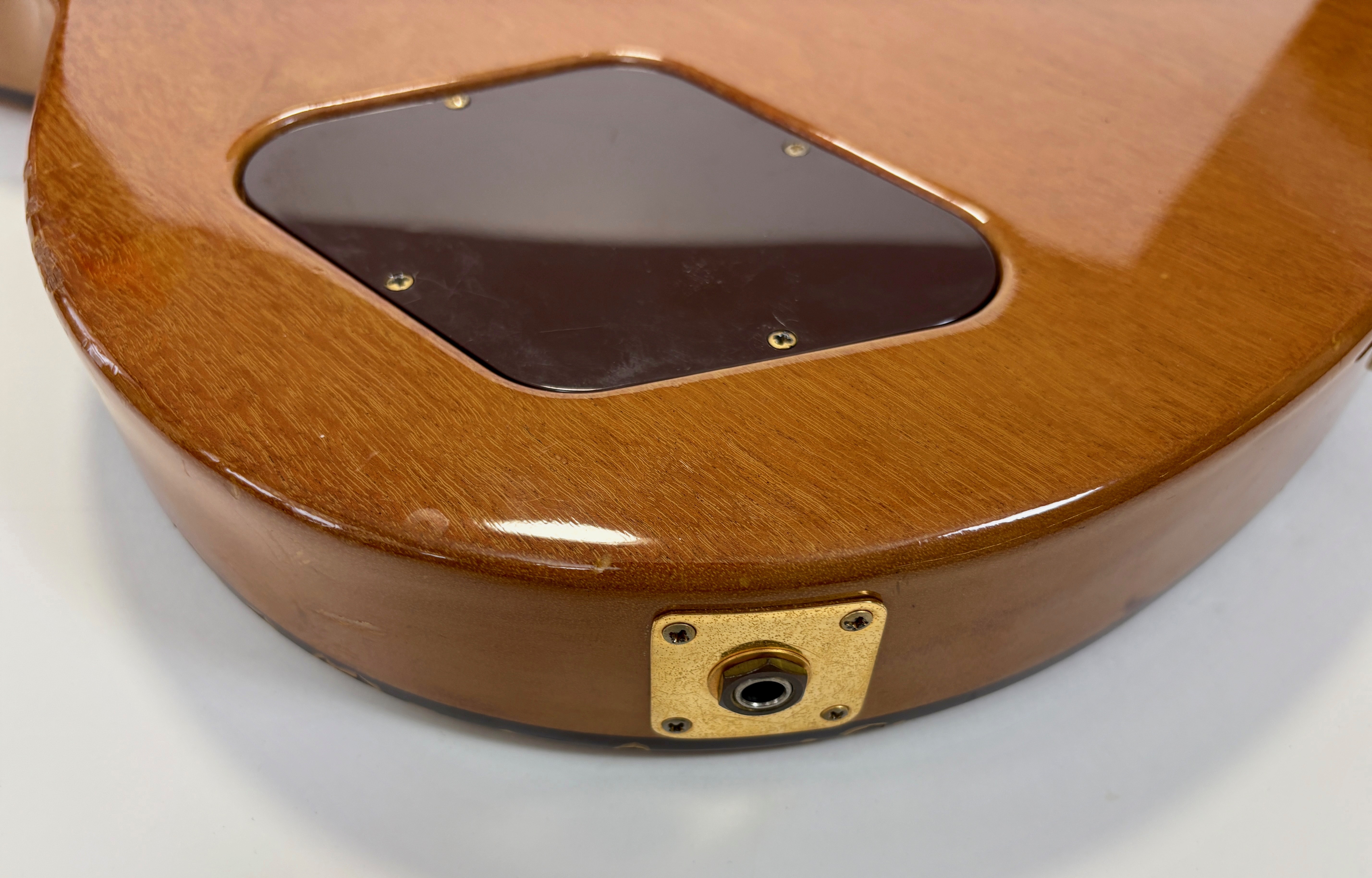 Gibson Chet Atkins CE/CEC (73234)