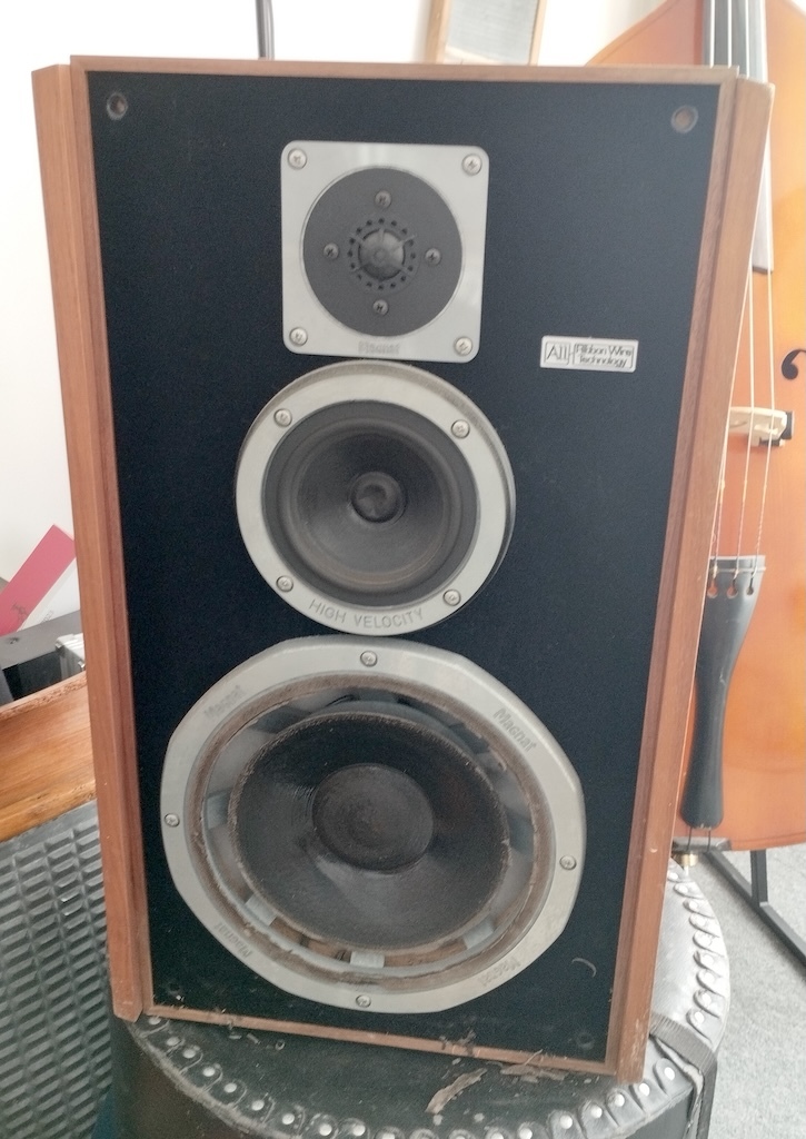 Donne enceinte Magnat Transpuls TP15