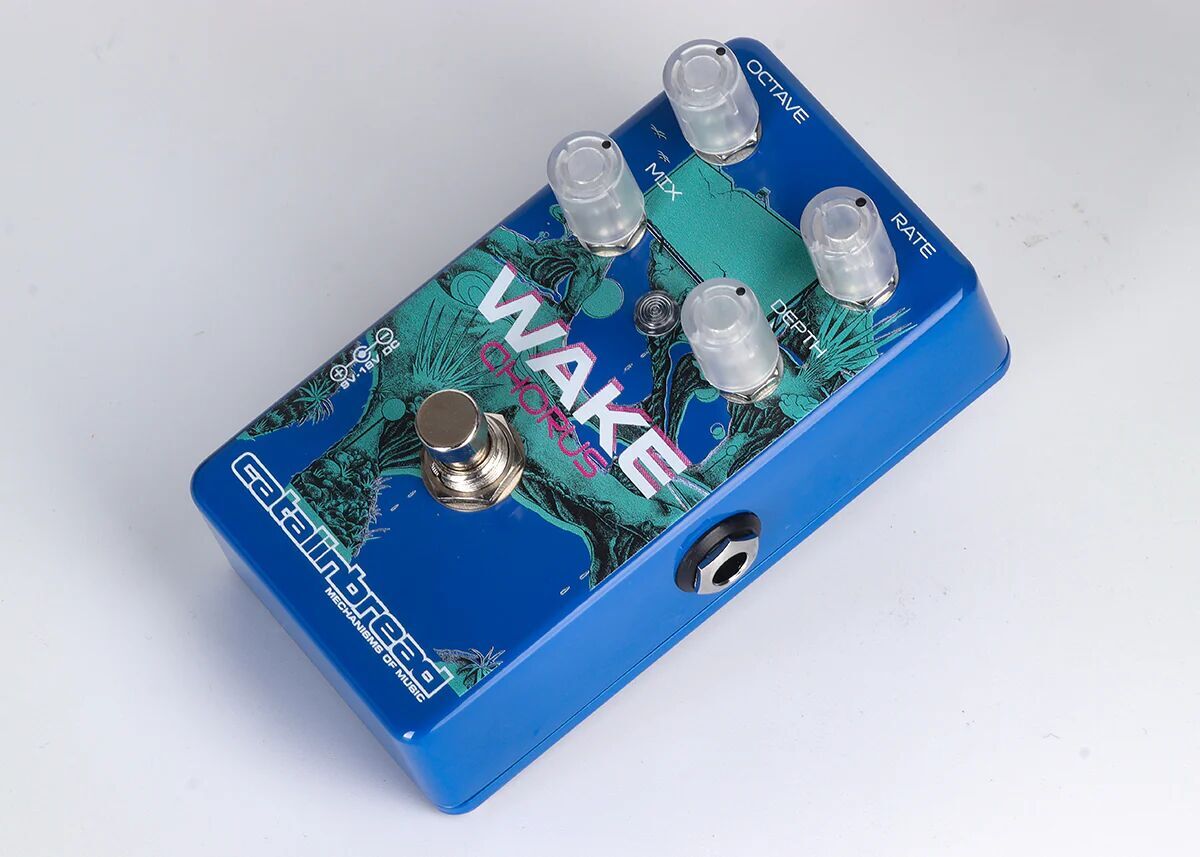 Wake Chorus2