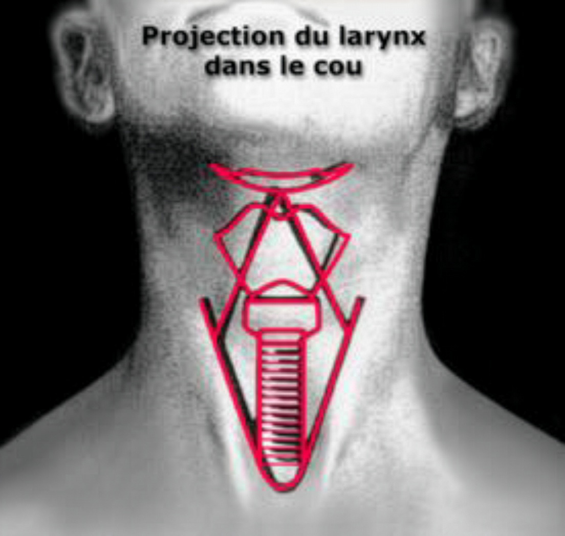 projectionlarynx