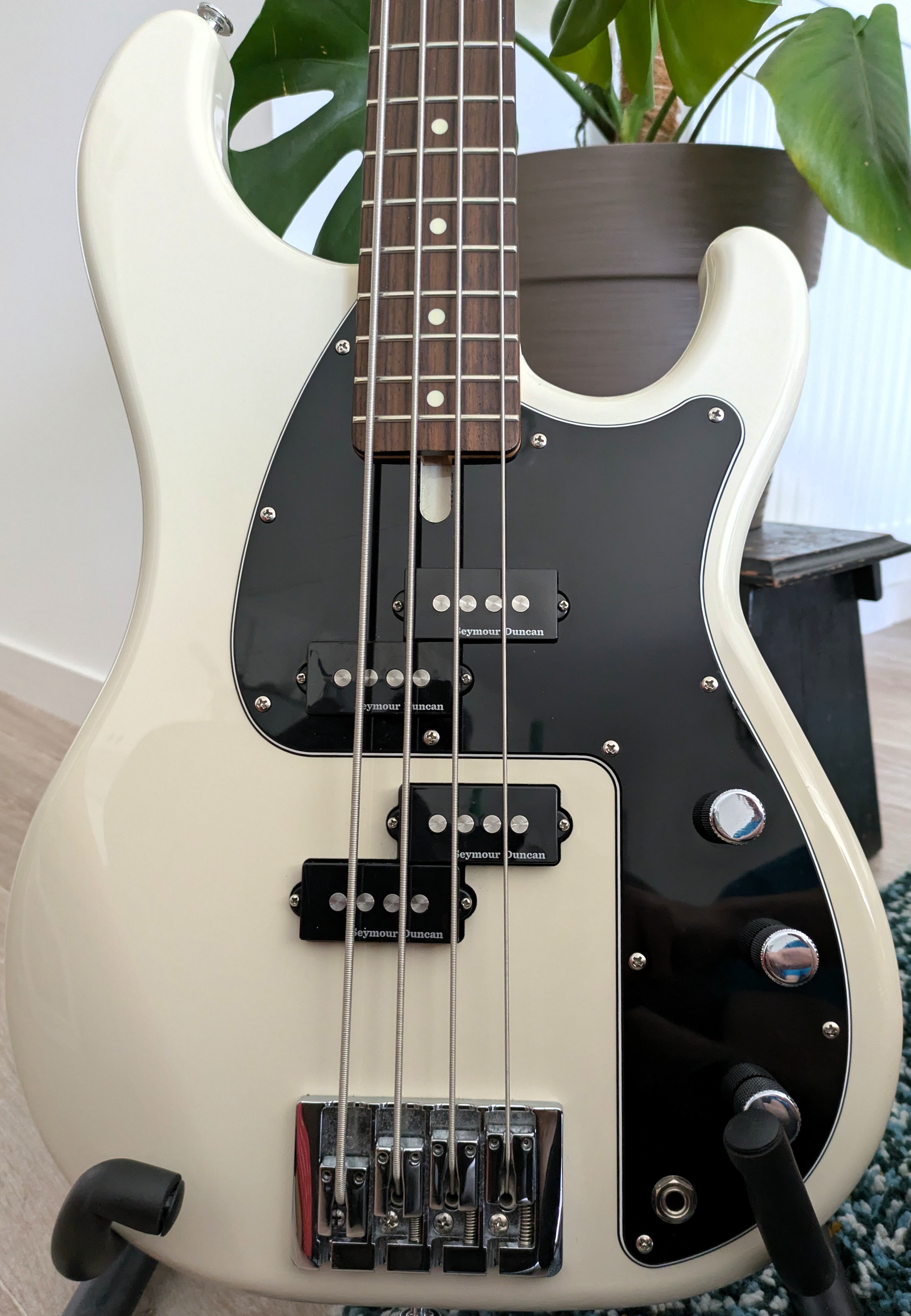 FGN Mighty Power - Precision bass
