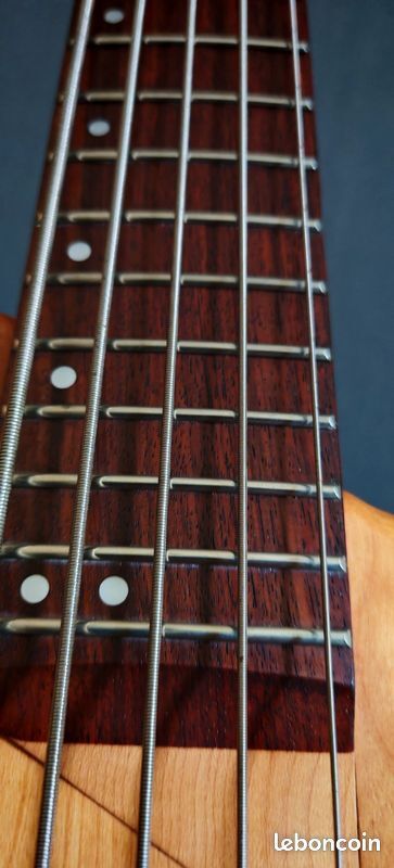Basse Washburn XB 500