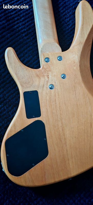 Washburn XB500 (85693)