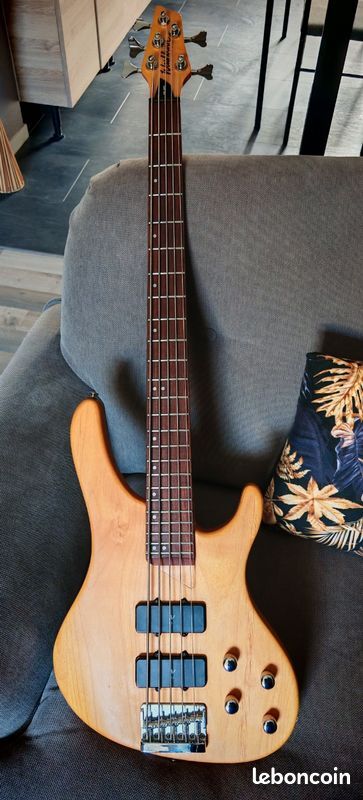 Washburn XB500 (60389)