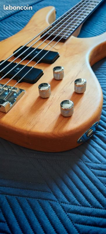 Washburn XB500 (44932)