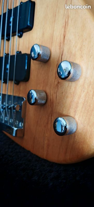 Washburn XB500 (87888)
