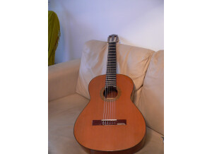 Esteve 1.4 ST (81659)