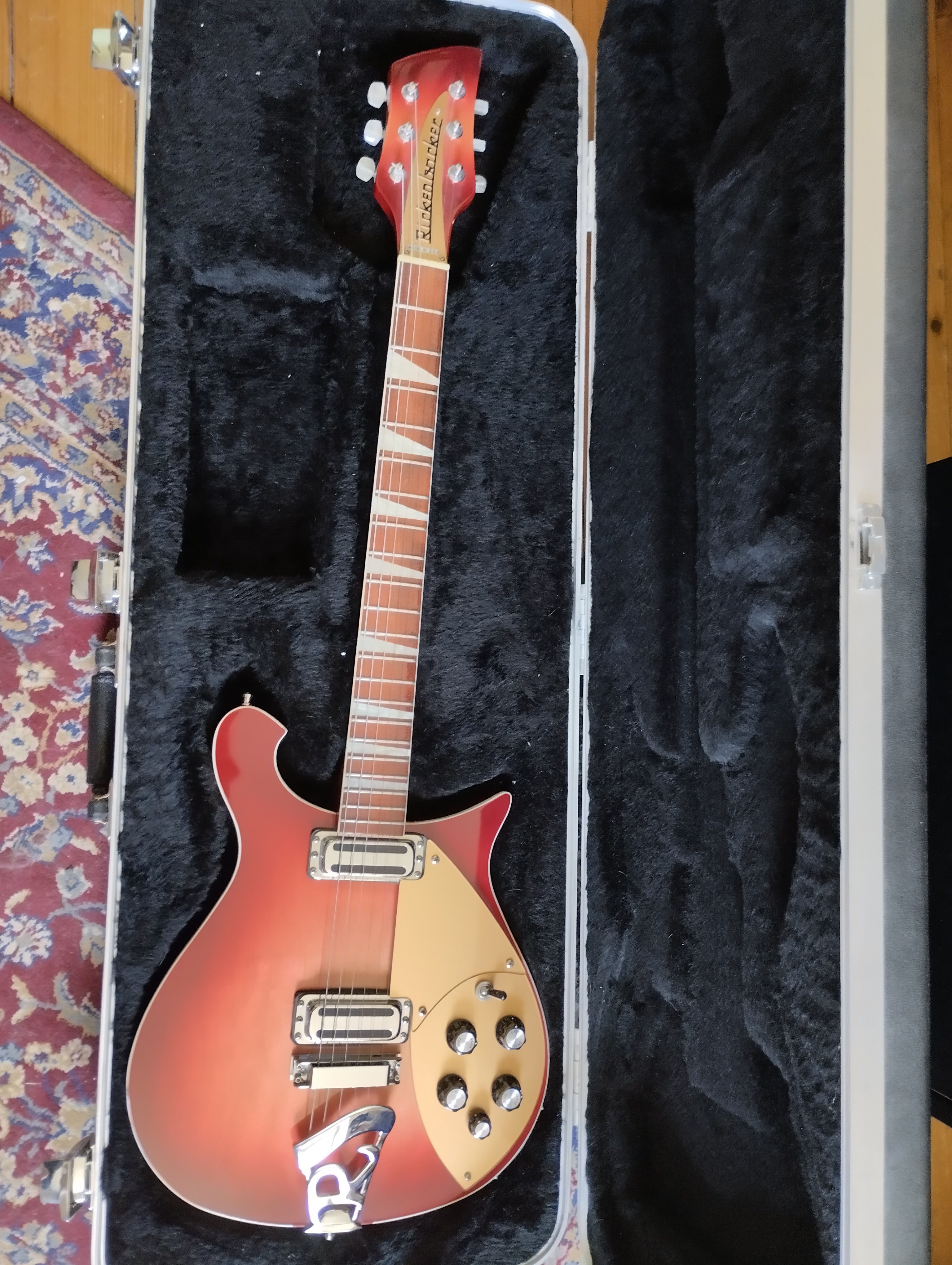 Rickenbacker 660 (25178)