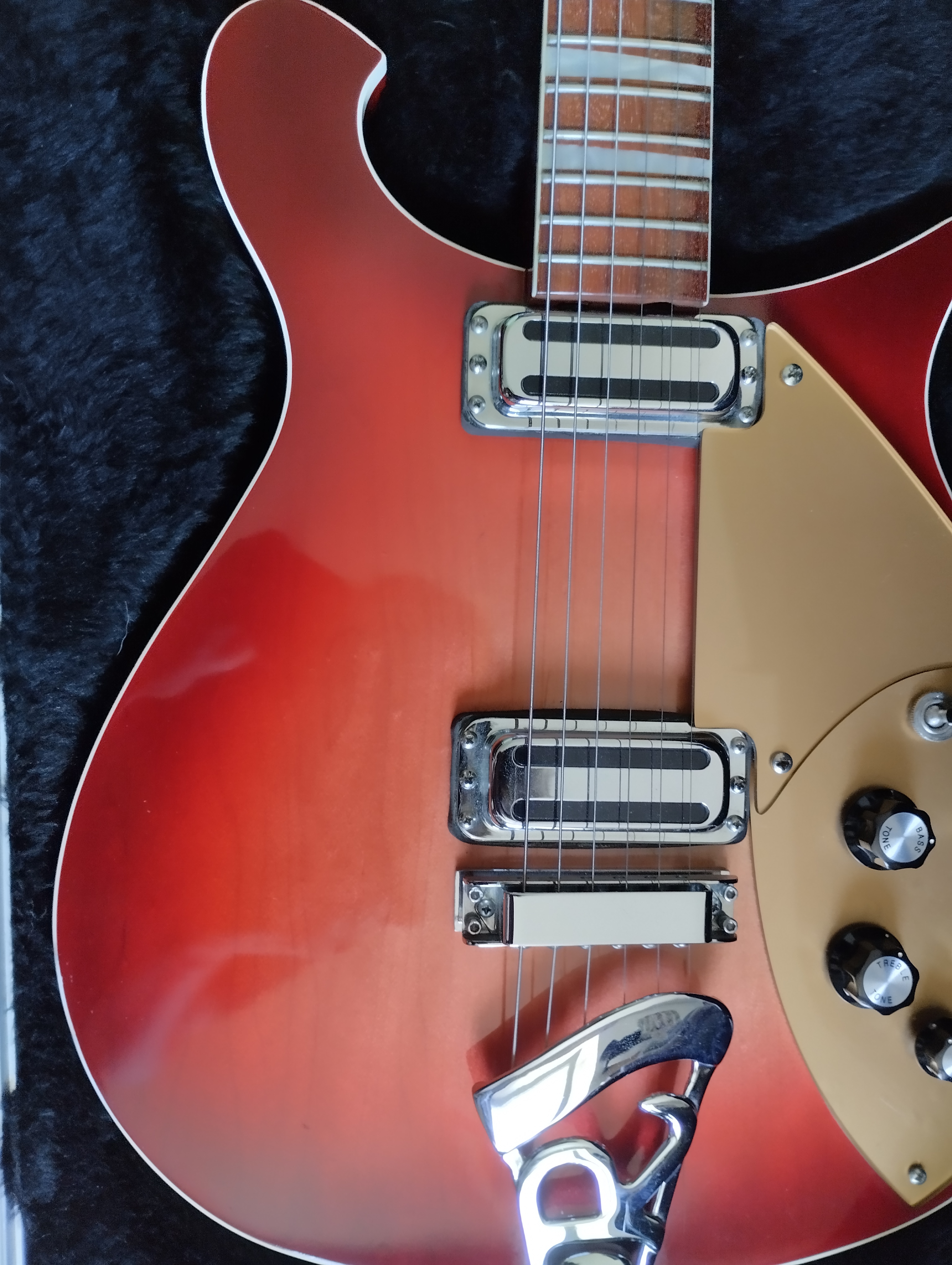 Rickenbacker 660 (56398)