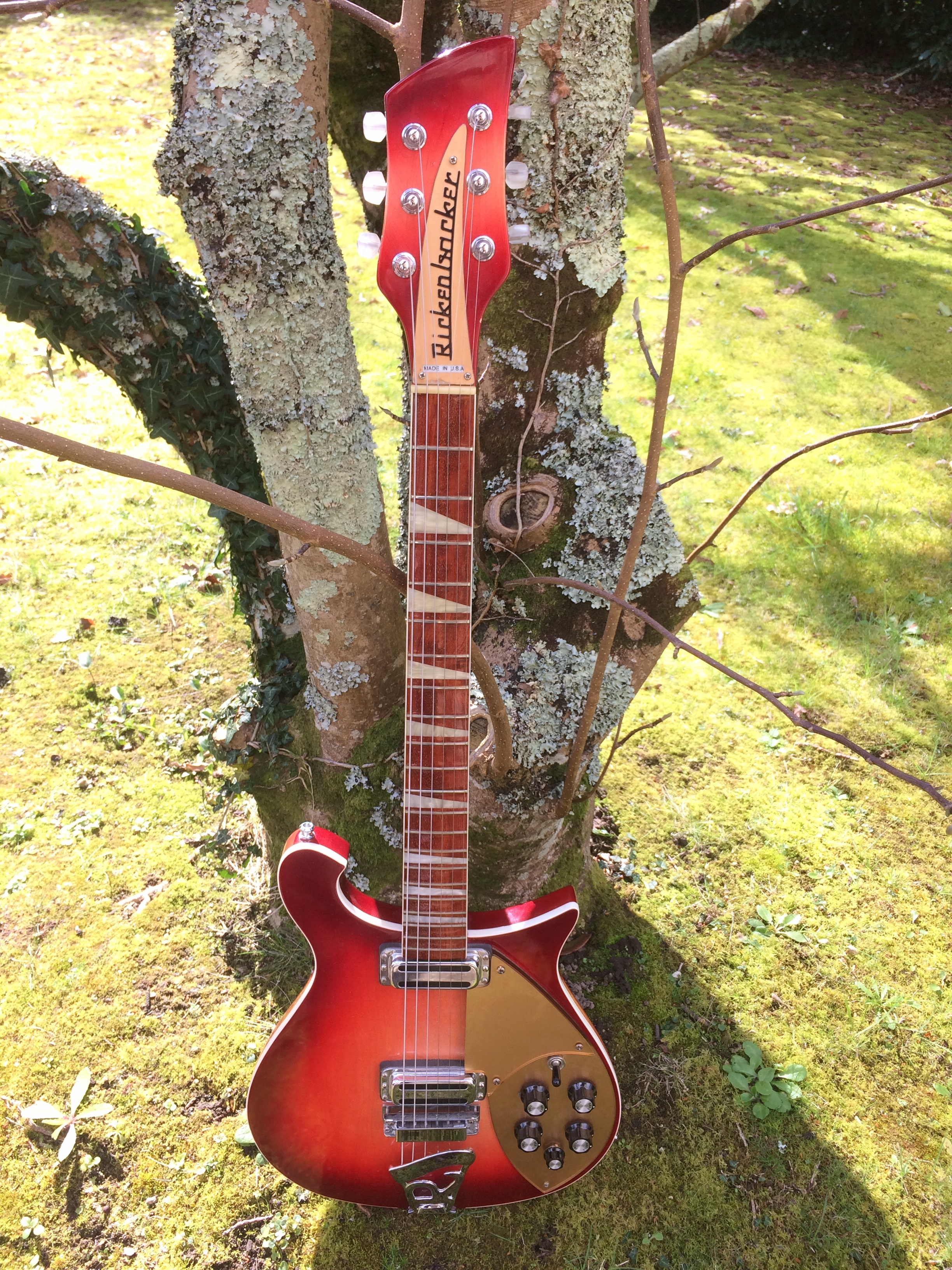 Vends Rick 660 FG, 1996
