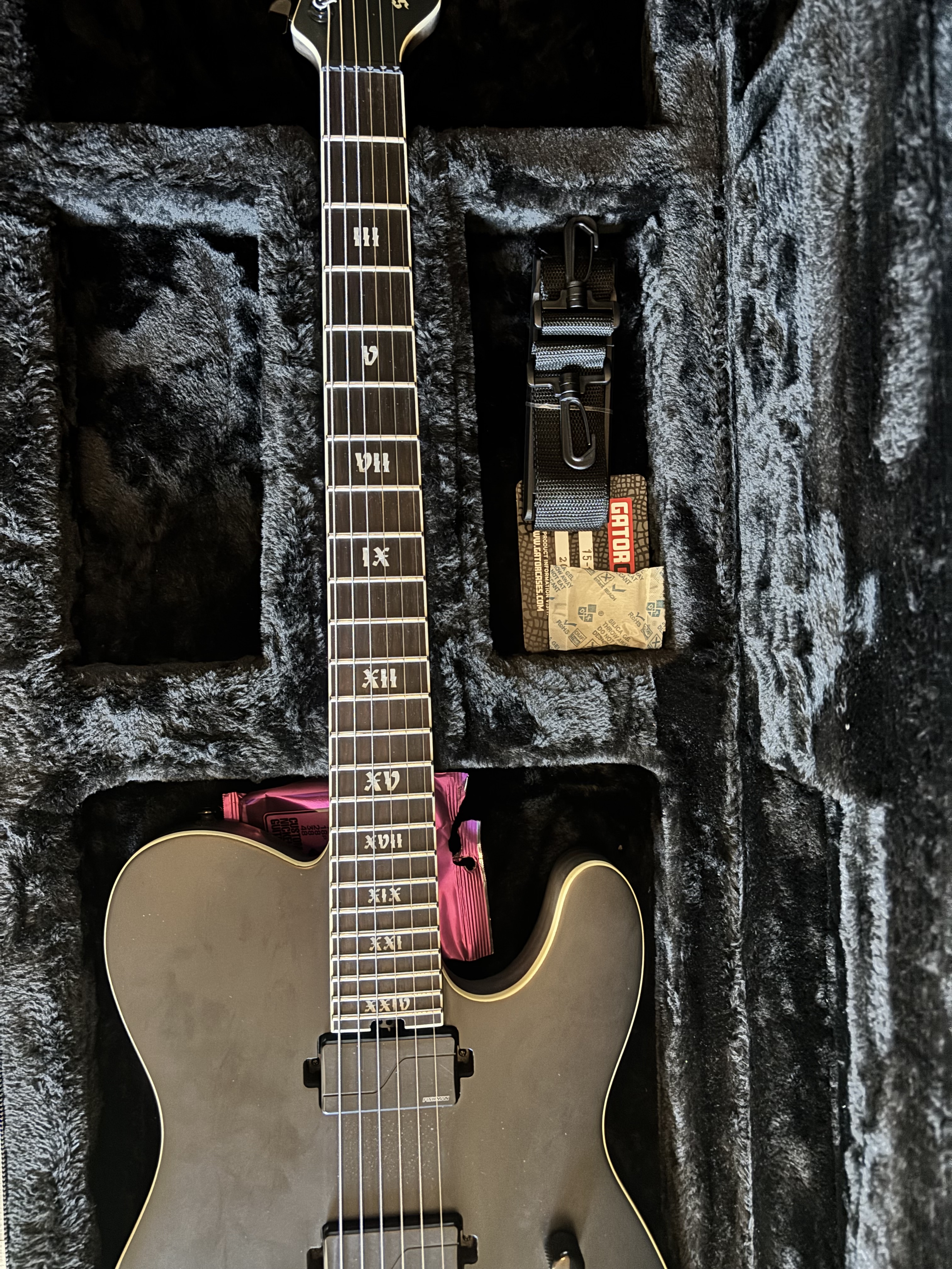 Schecter PT FR-S SLS Elite Evil Twin (17821)