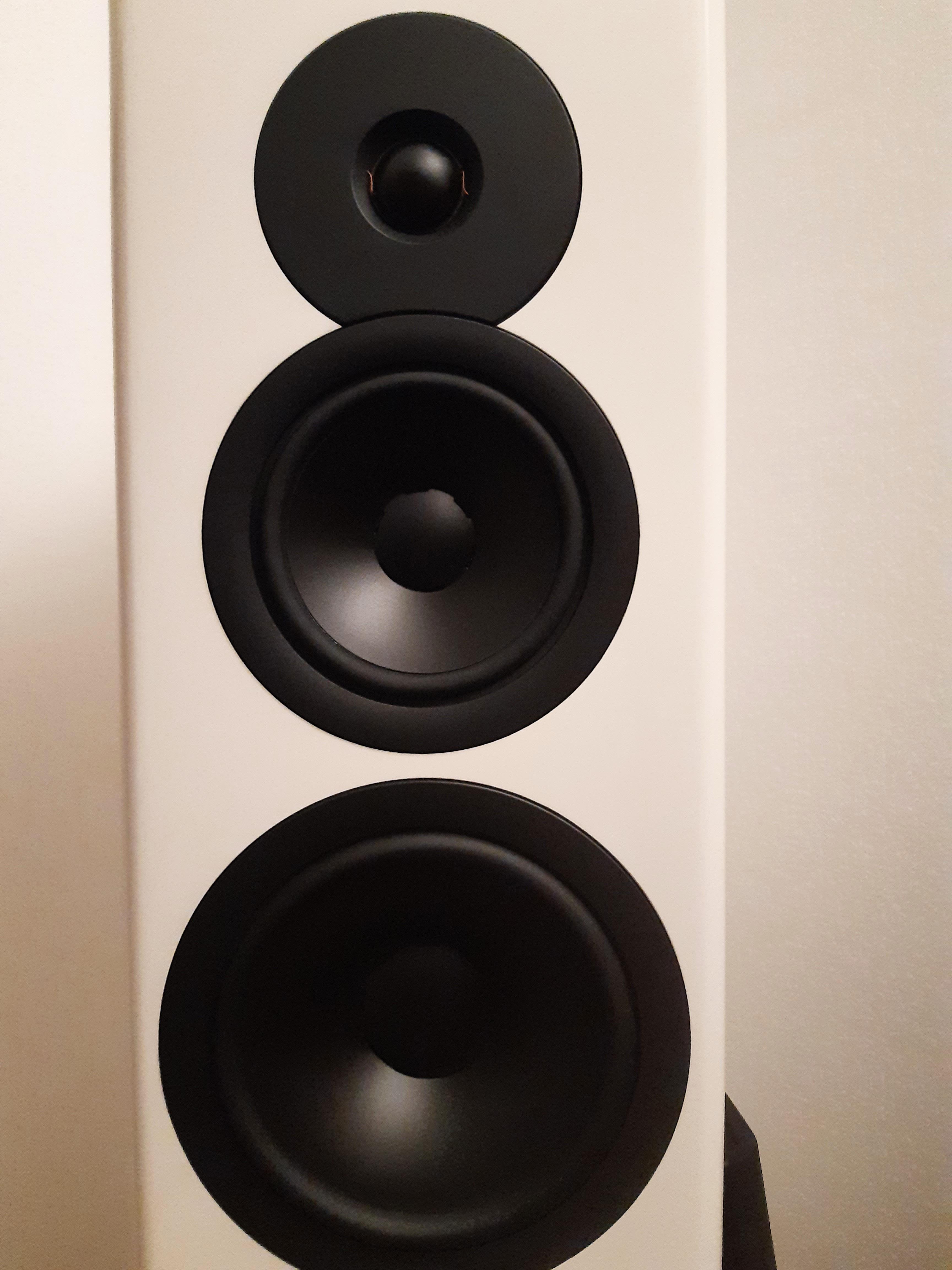 DYNAUDIO EVOKE 50 BLANCHES