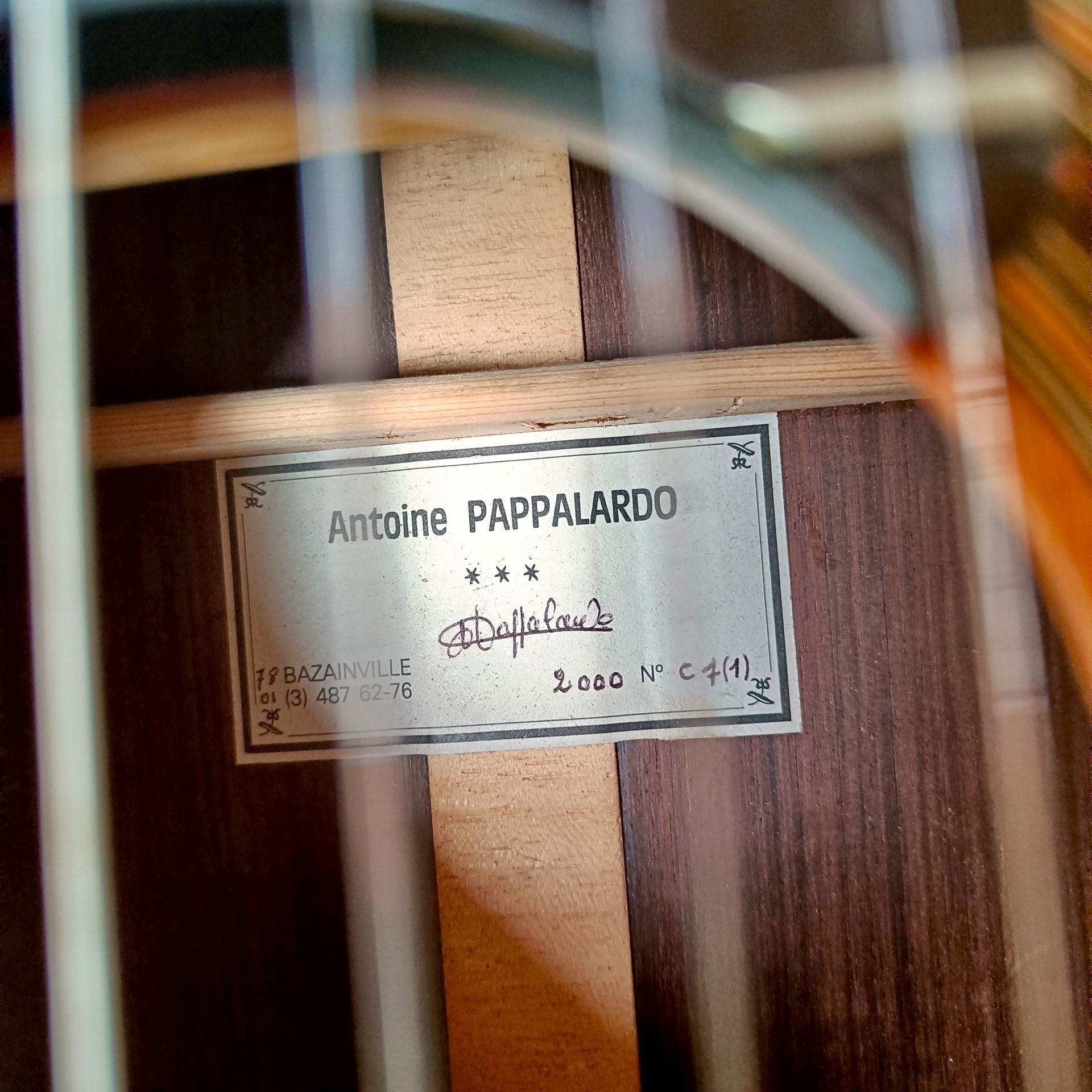 Guitare 7 cordes, Luthier Antoine Pappalardo