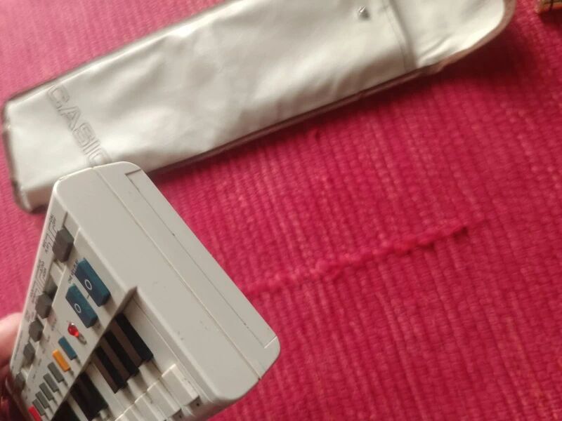 Casio VL-1 (76453)