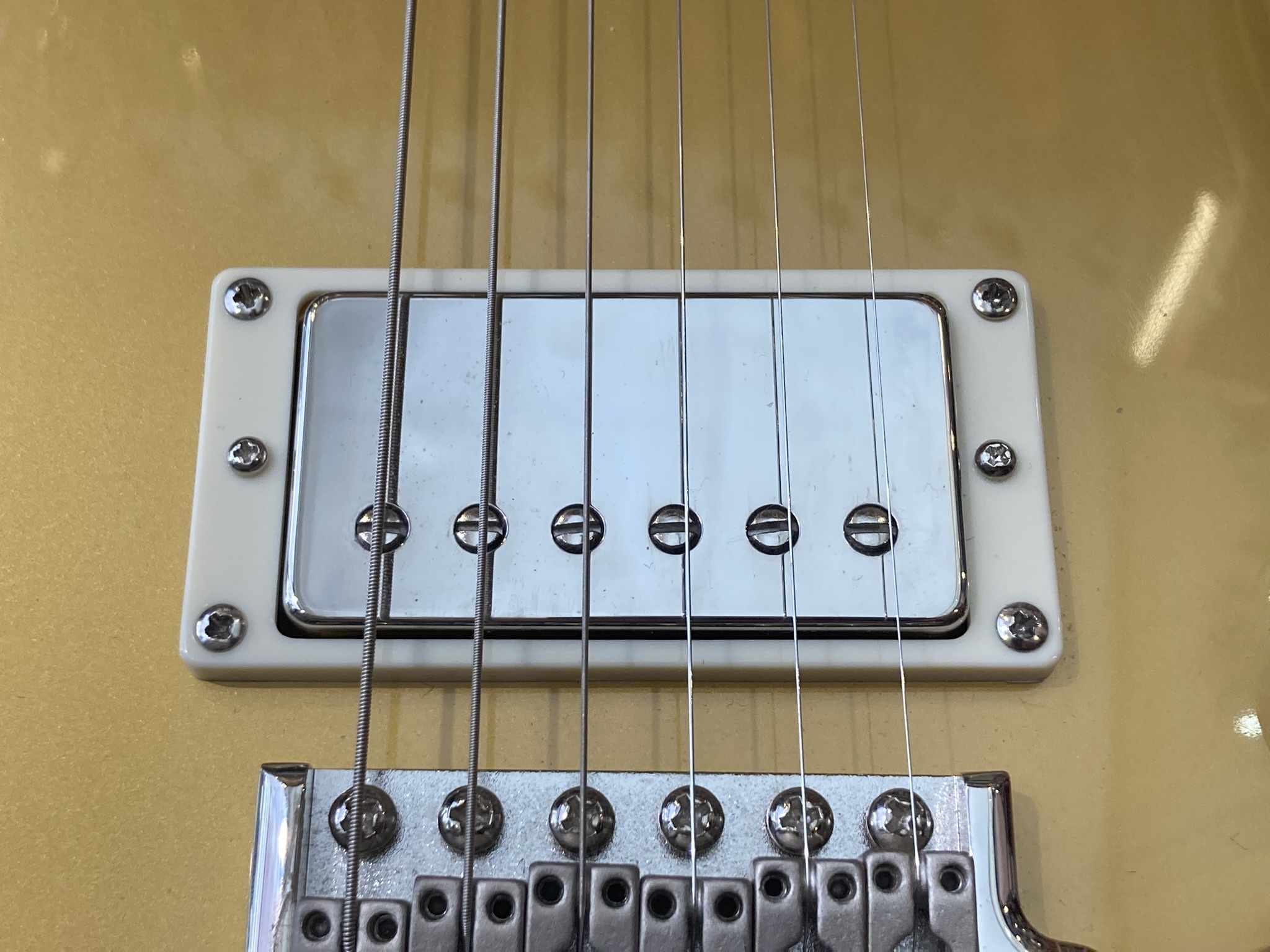 PRS SE DGT (97330)