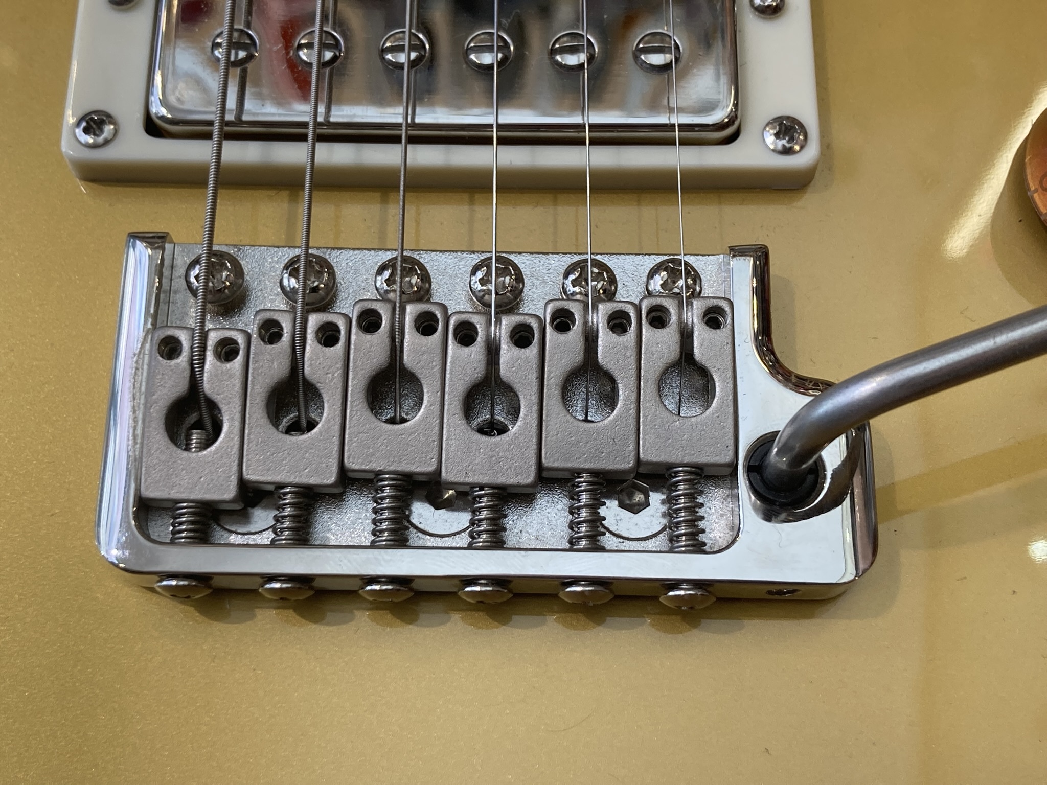 PRS SE DGT (84023)