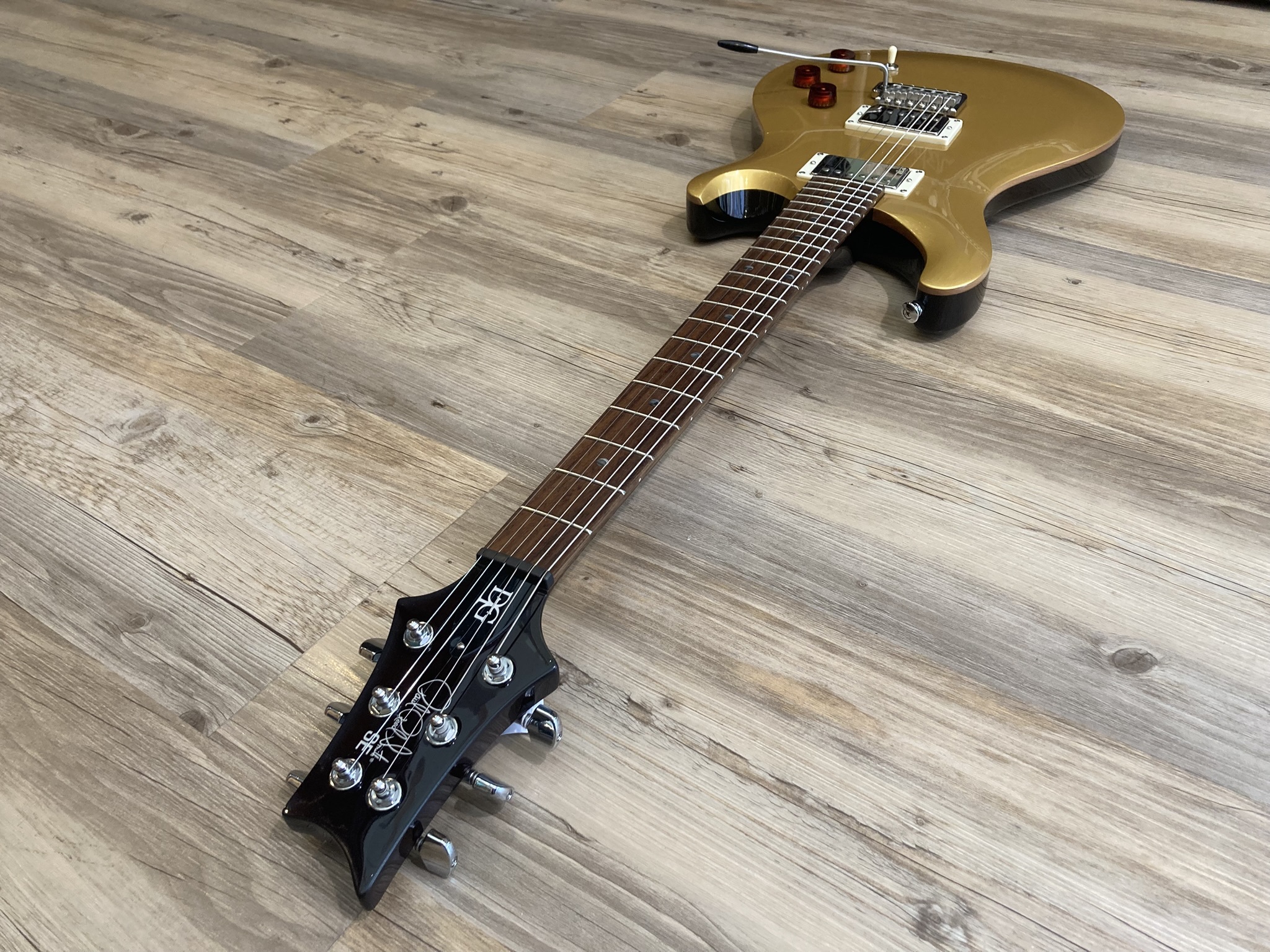 PRS SE DGT (65811)