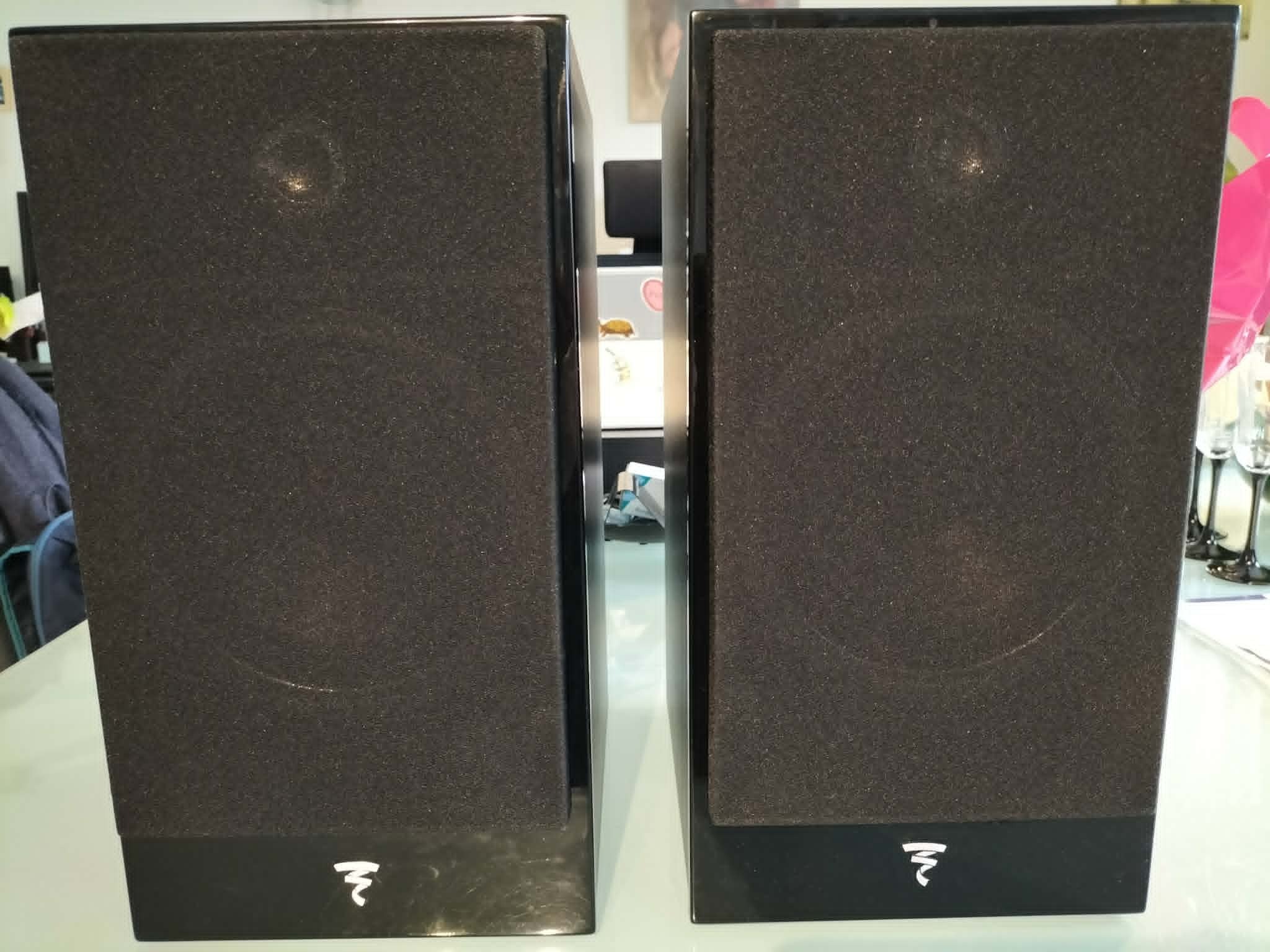 Vends paire d'enceintes hifi bibliothèque FOCAL Theva 1