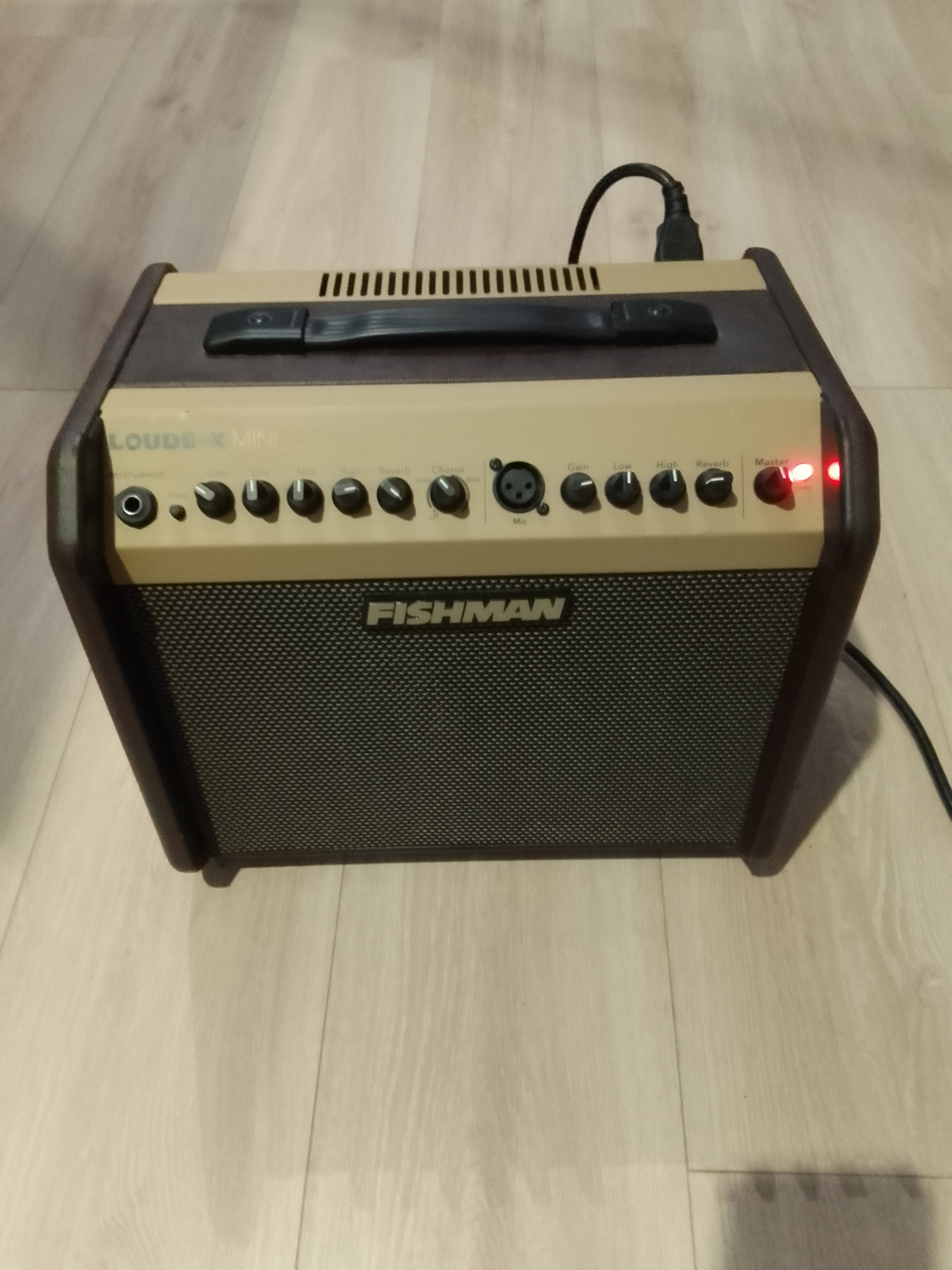 Vends fishman loudbox mini