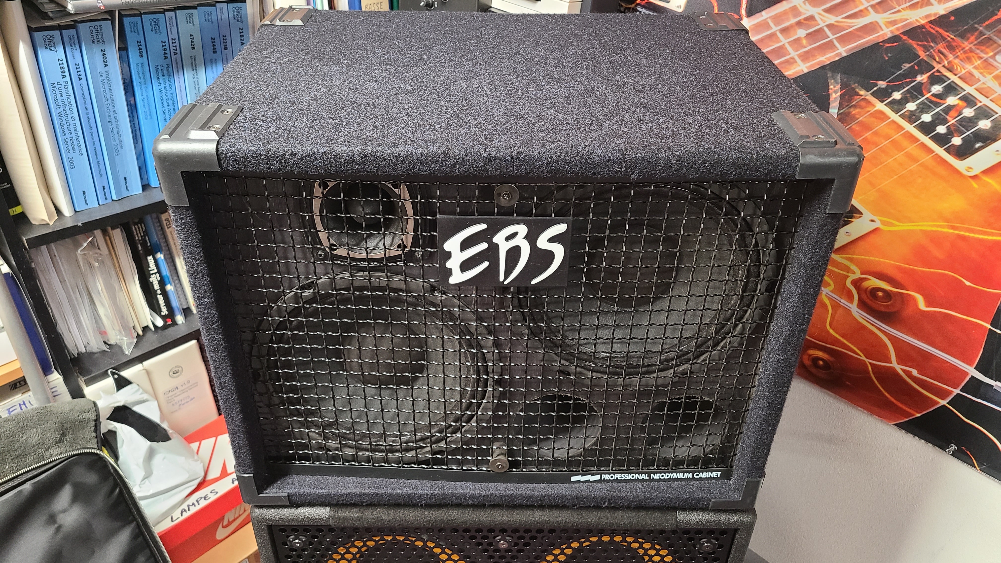 Vends Baffle EBS Neoline 210 comme neuf !