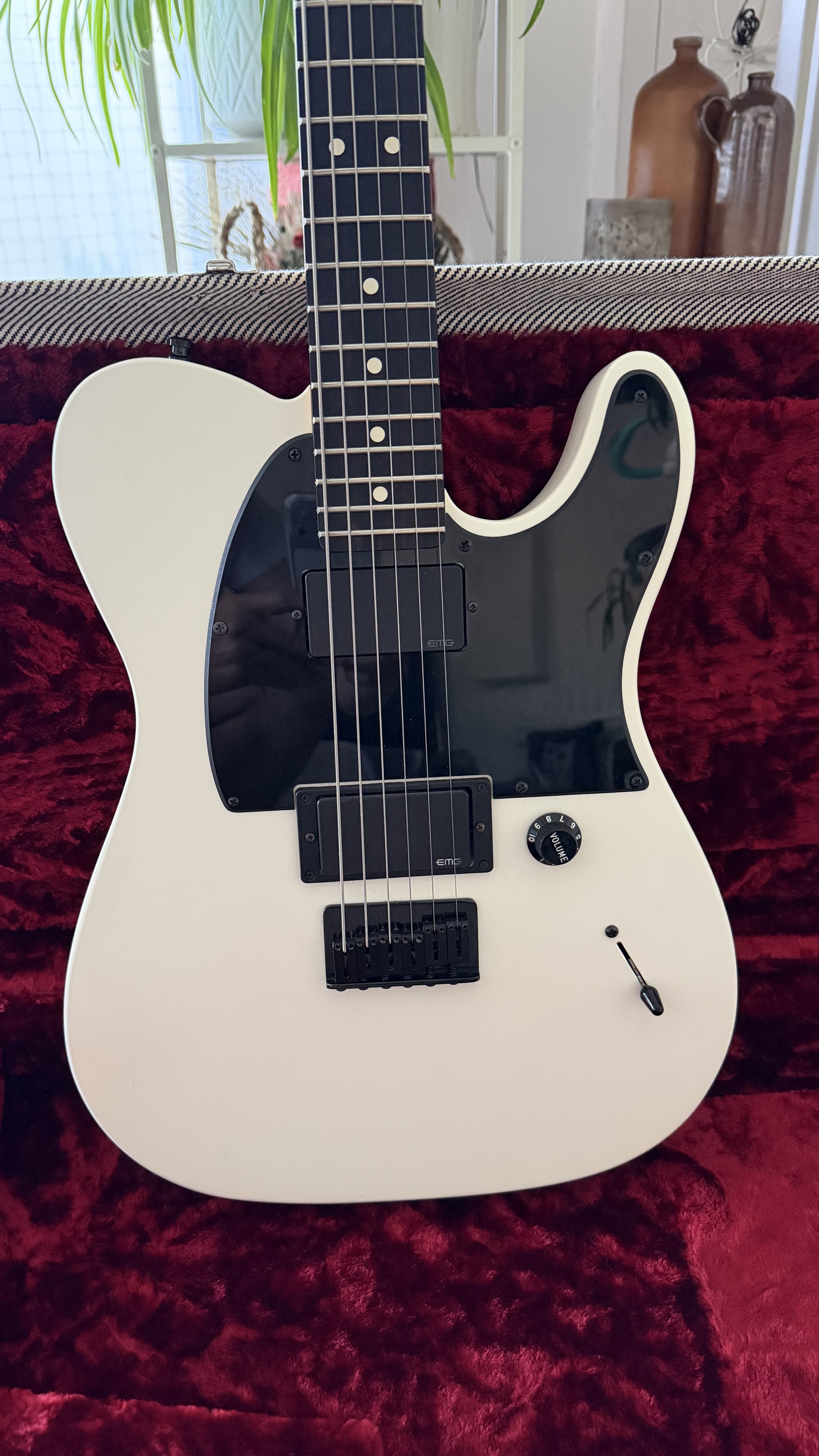 Fender Telecaster Jim Root (2014) + Étui Tweed