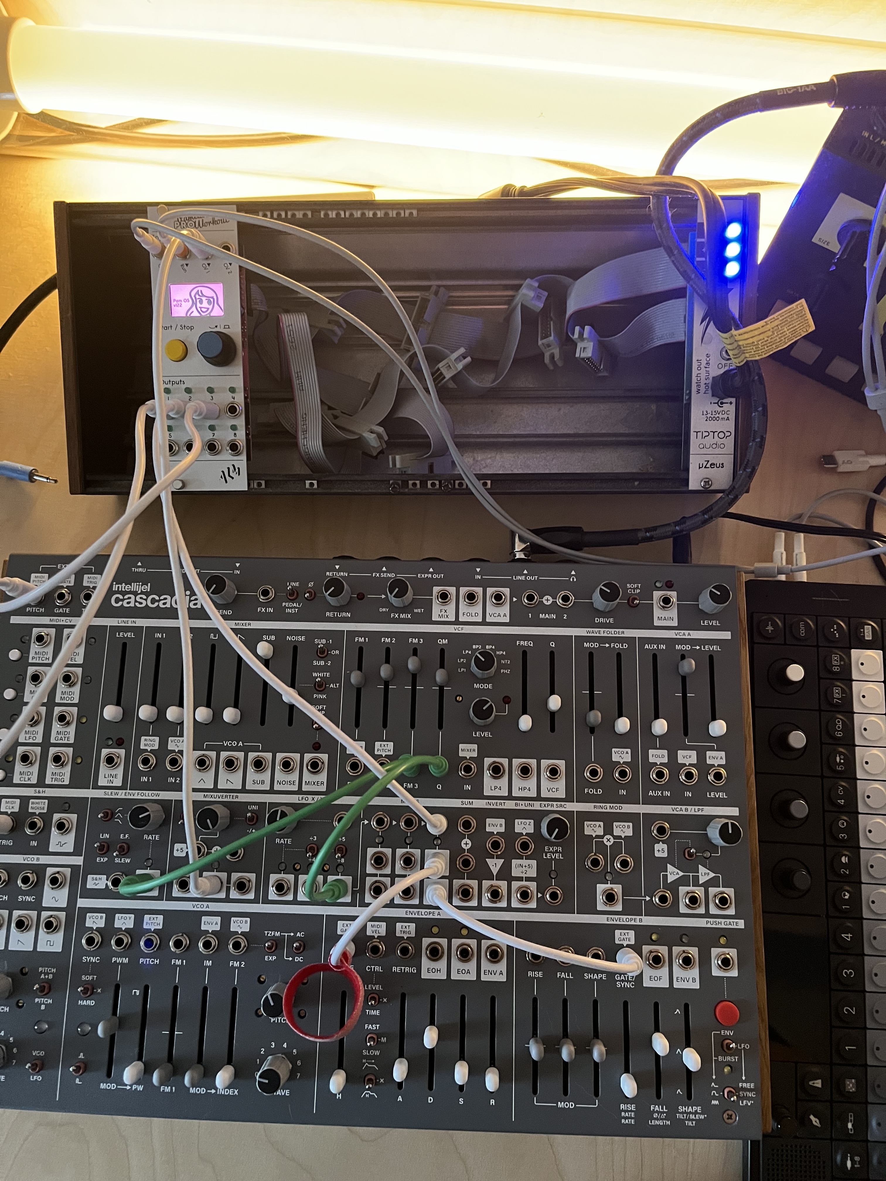 Intellijel Cascadia + decksaver