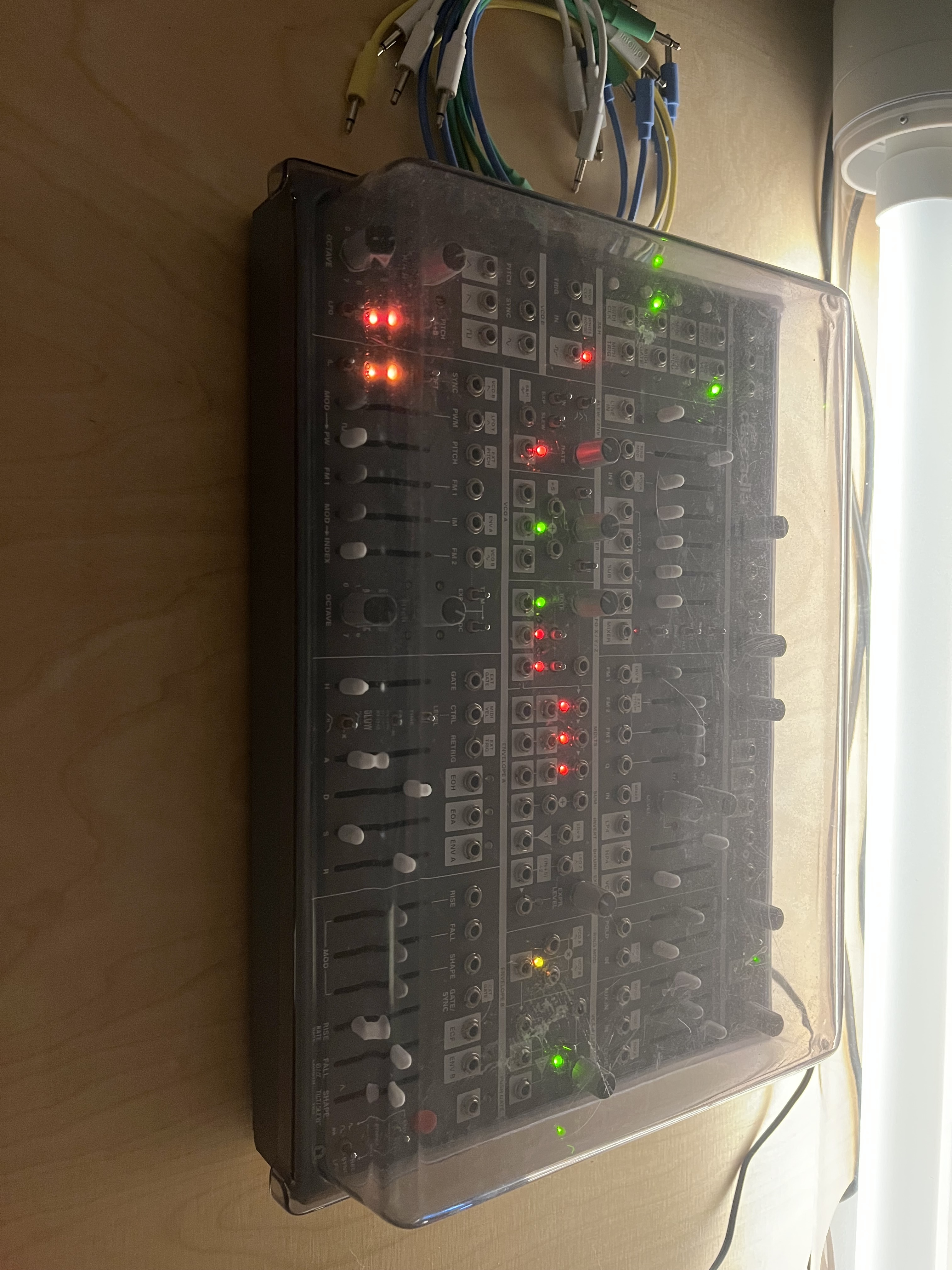 Intellijel Designs Cascadia (29486)