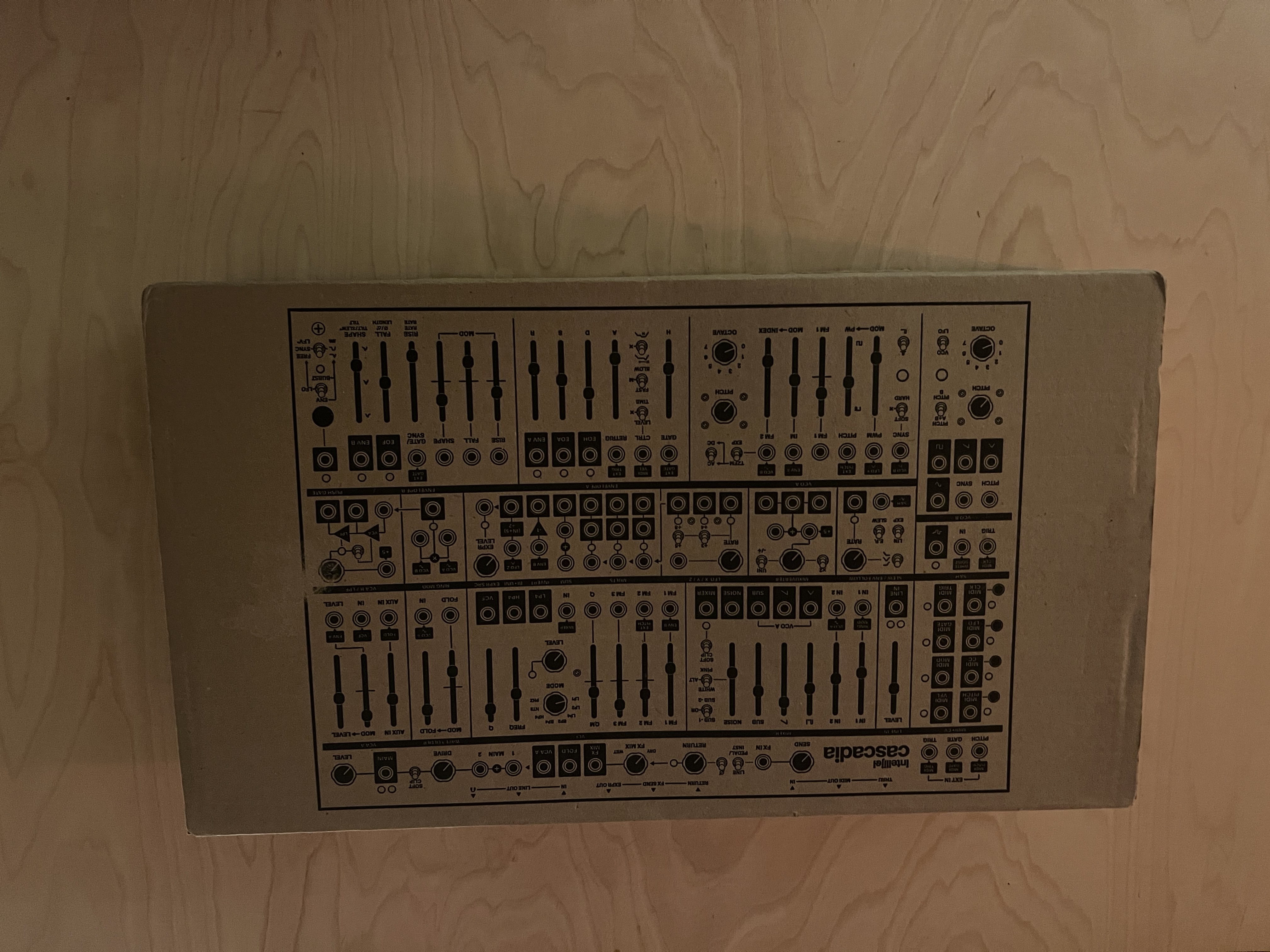 Intellijel Designs Cascadia (60278)