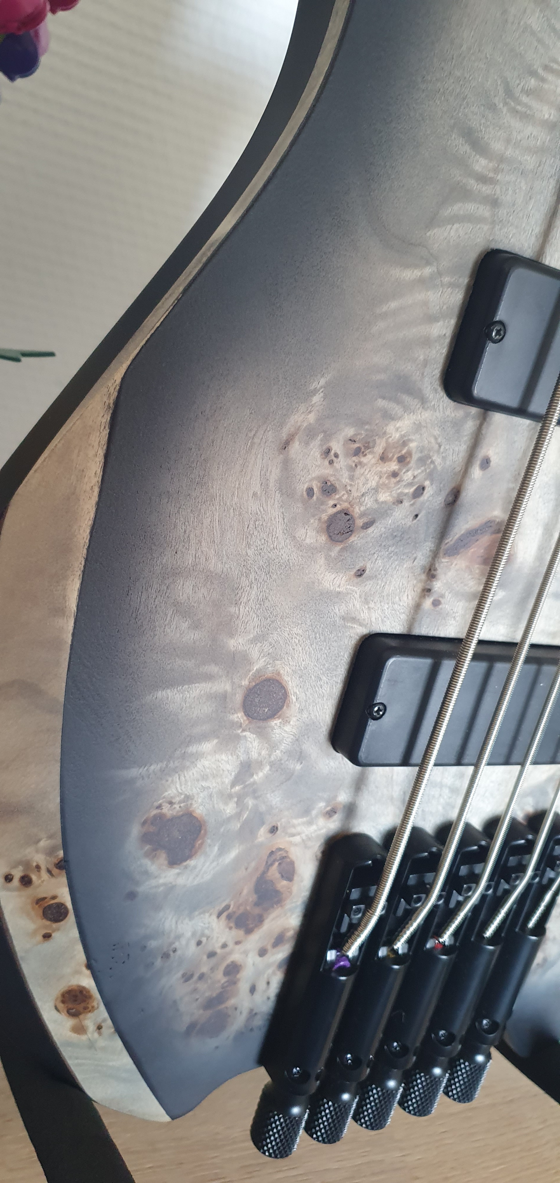 Cort Artisan Space 5 (6949)