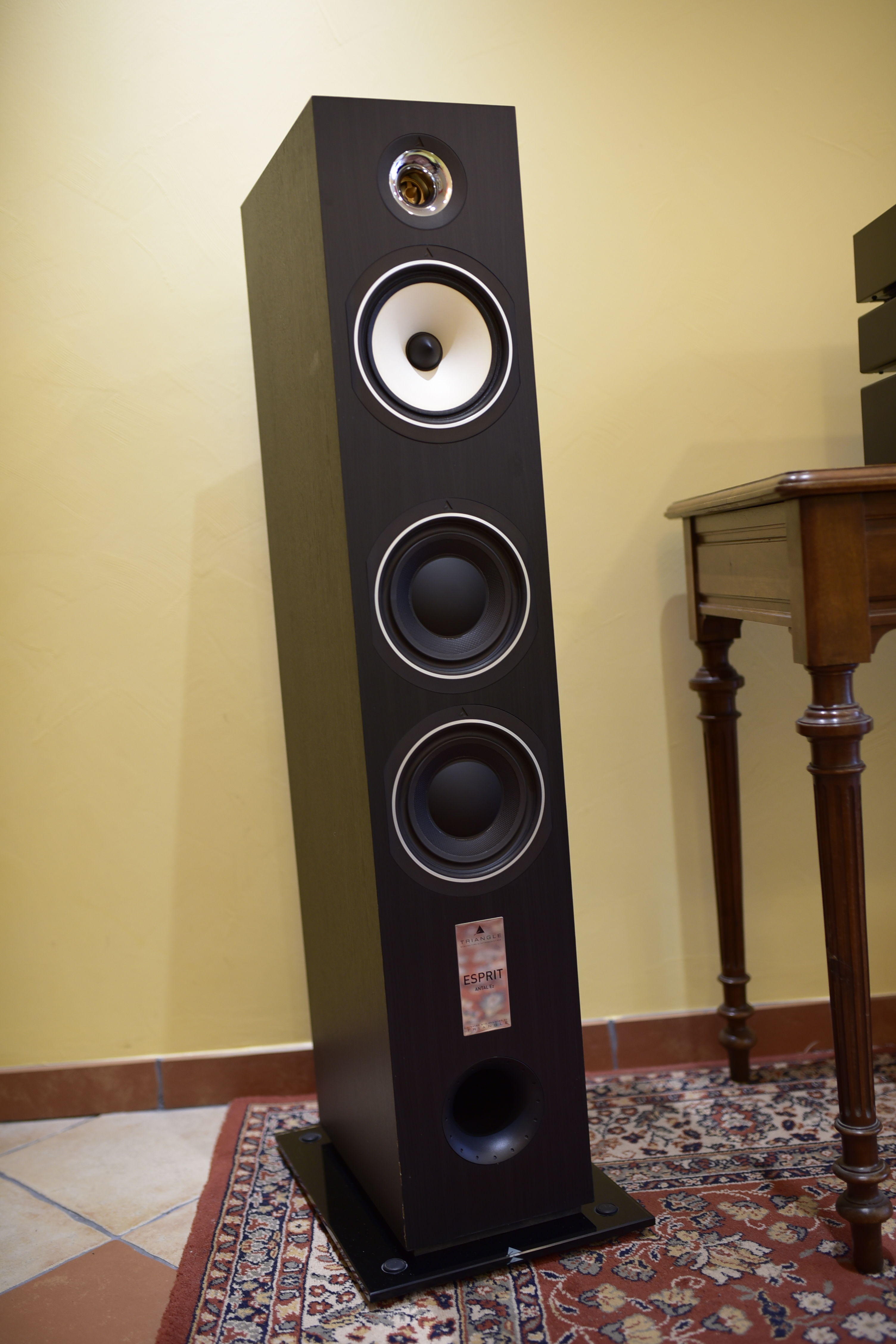 2 Enceinte (1)