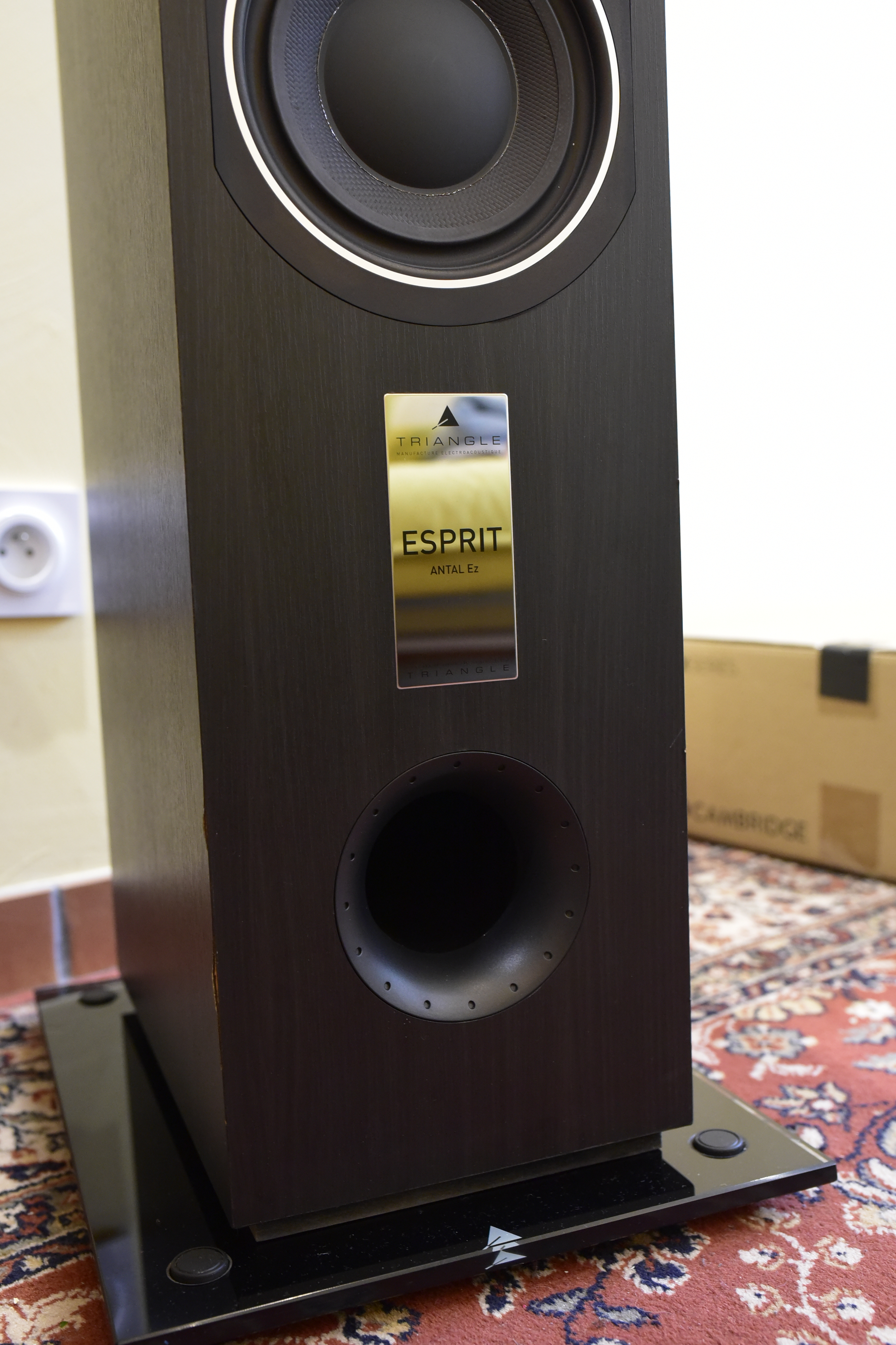 2 Enceinte (4)
