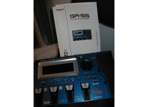Roland GR-55GK (79474)