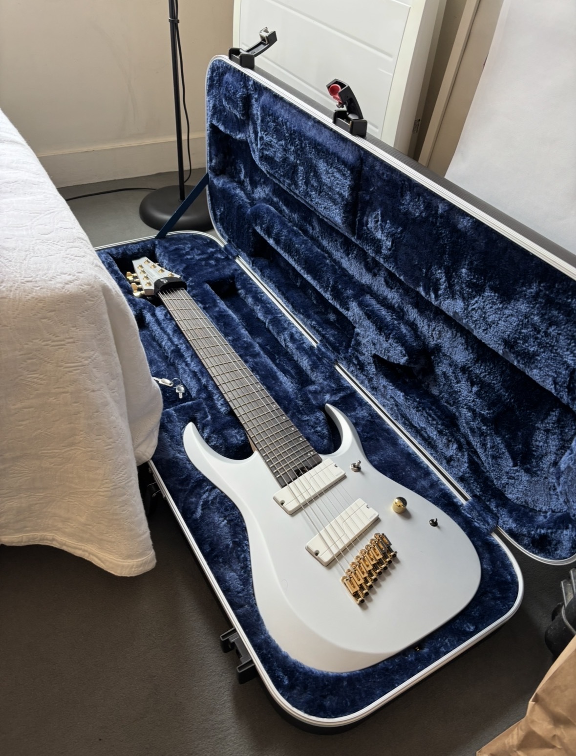 banez RGDMS8-CSM + étui Ibanez M300C