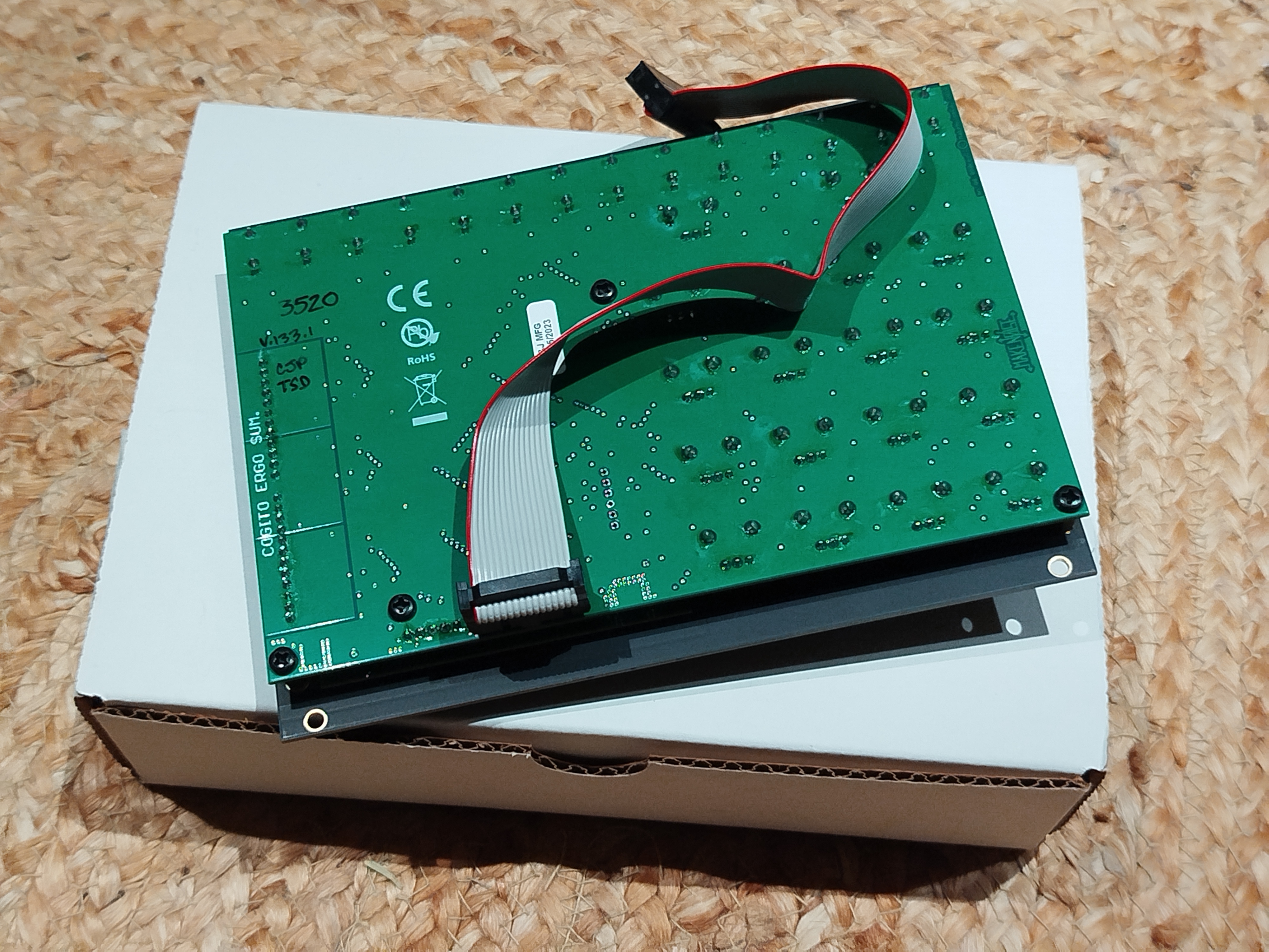 Make Noise René 2 (1973)