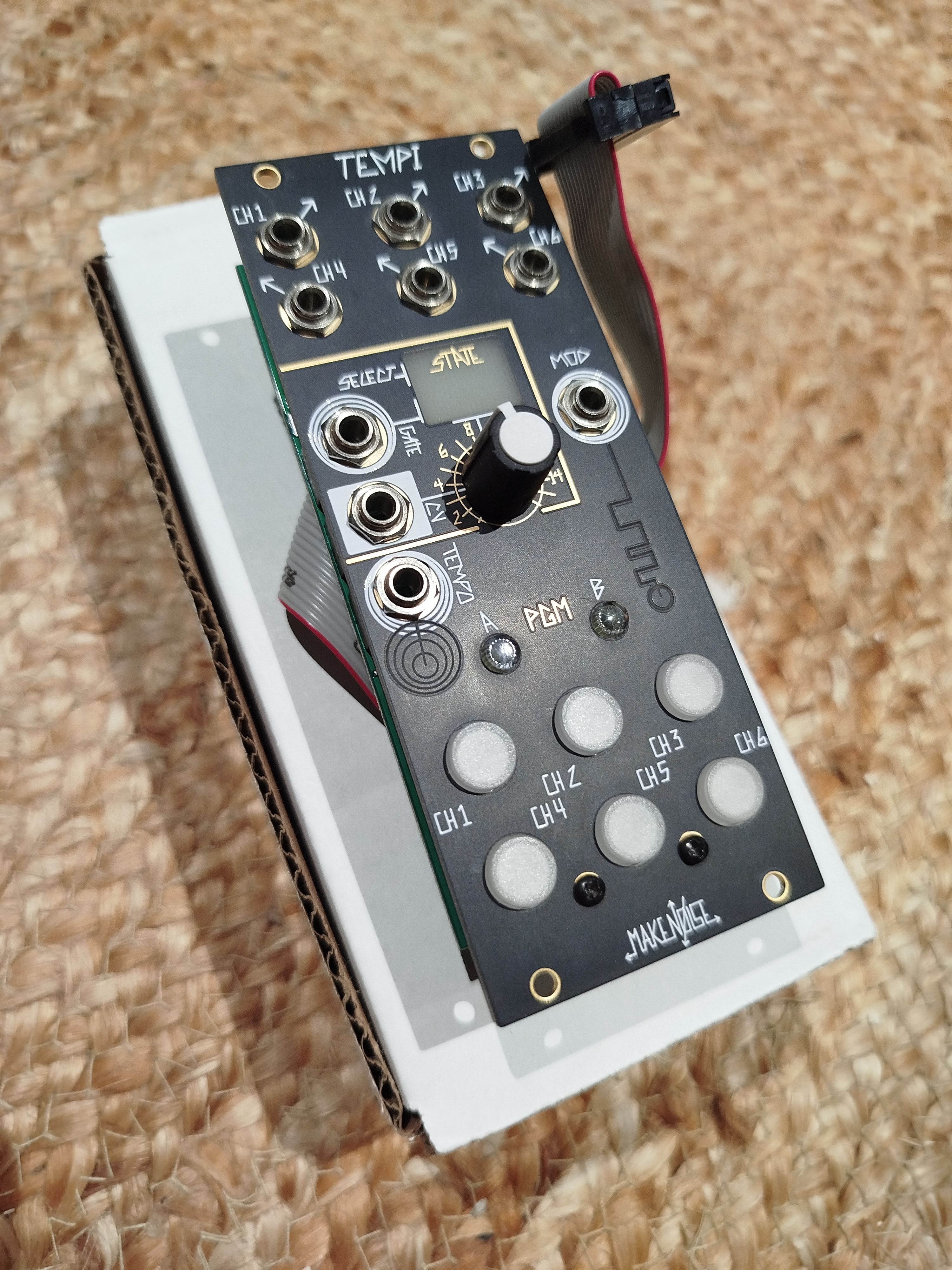 Make Noise Tempi - Horloge - Neuf