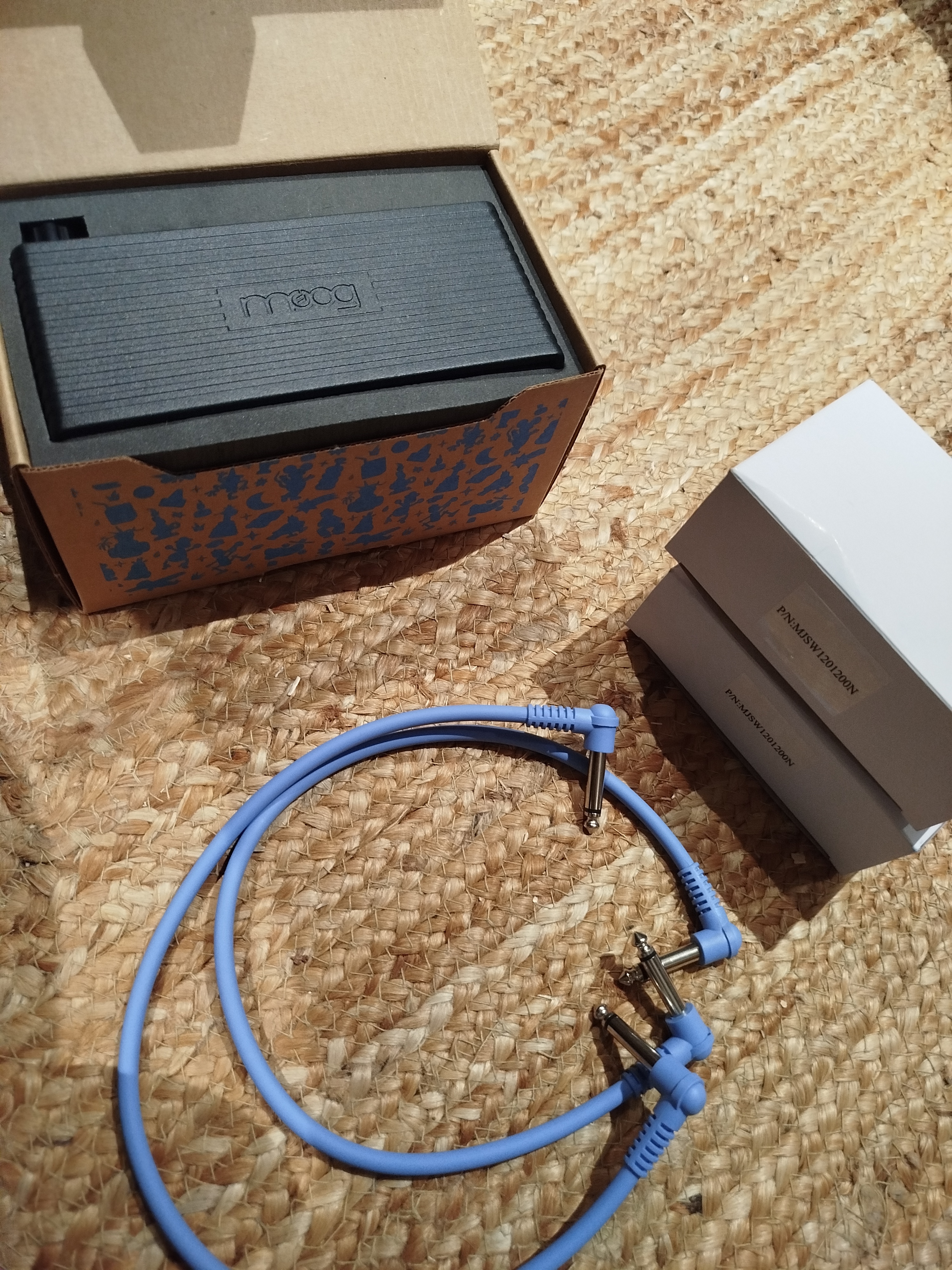 Moog Music DFAM (Drummer From Another Mother) (79689)