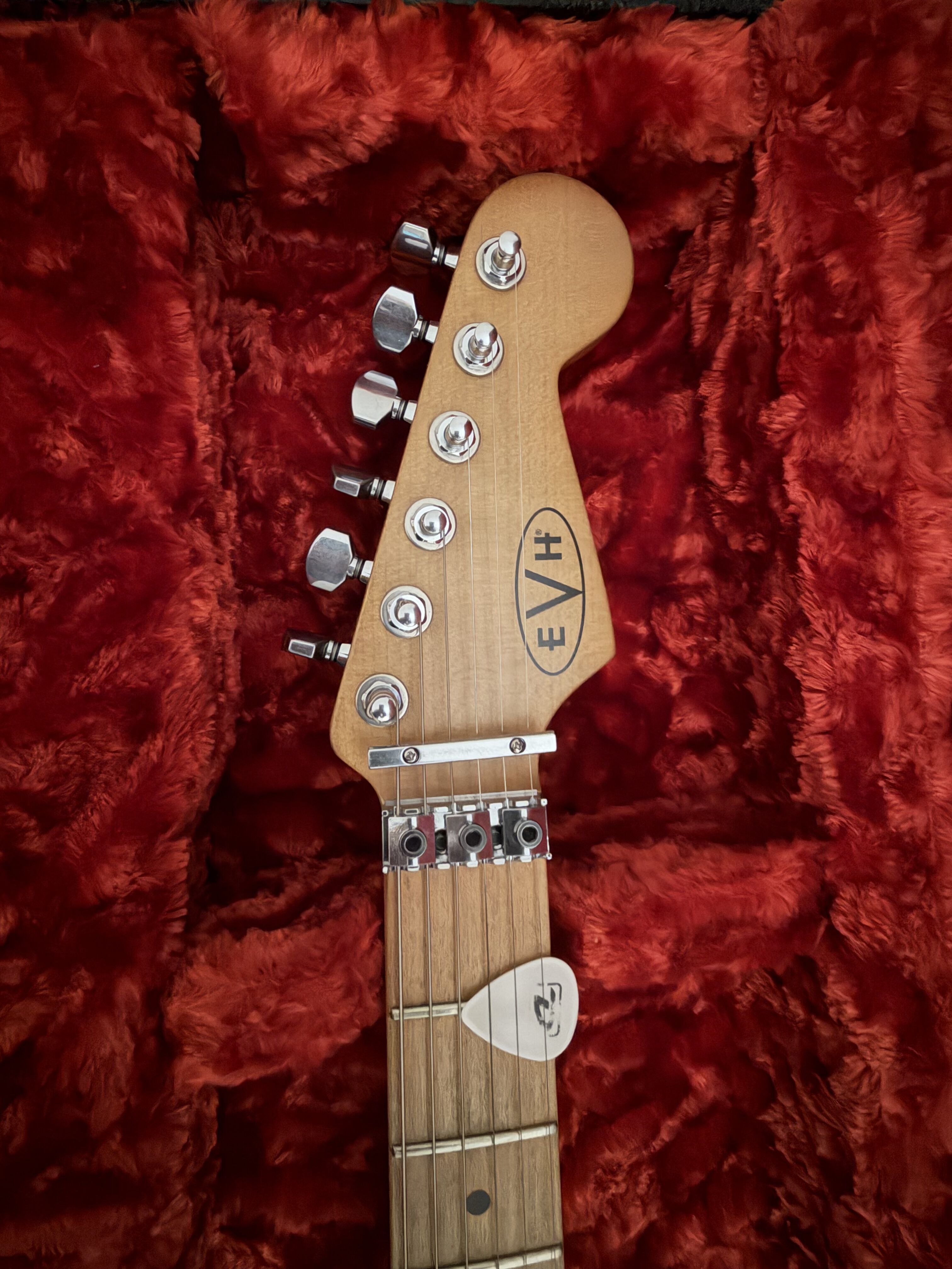 EVH Frankie (6822)