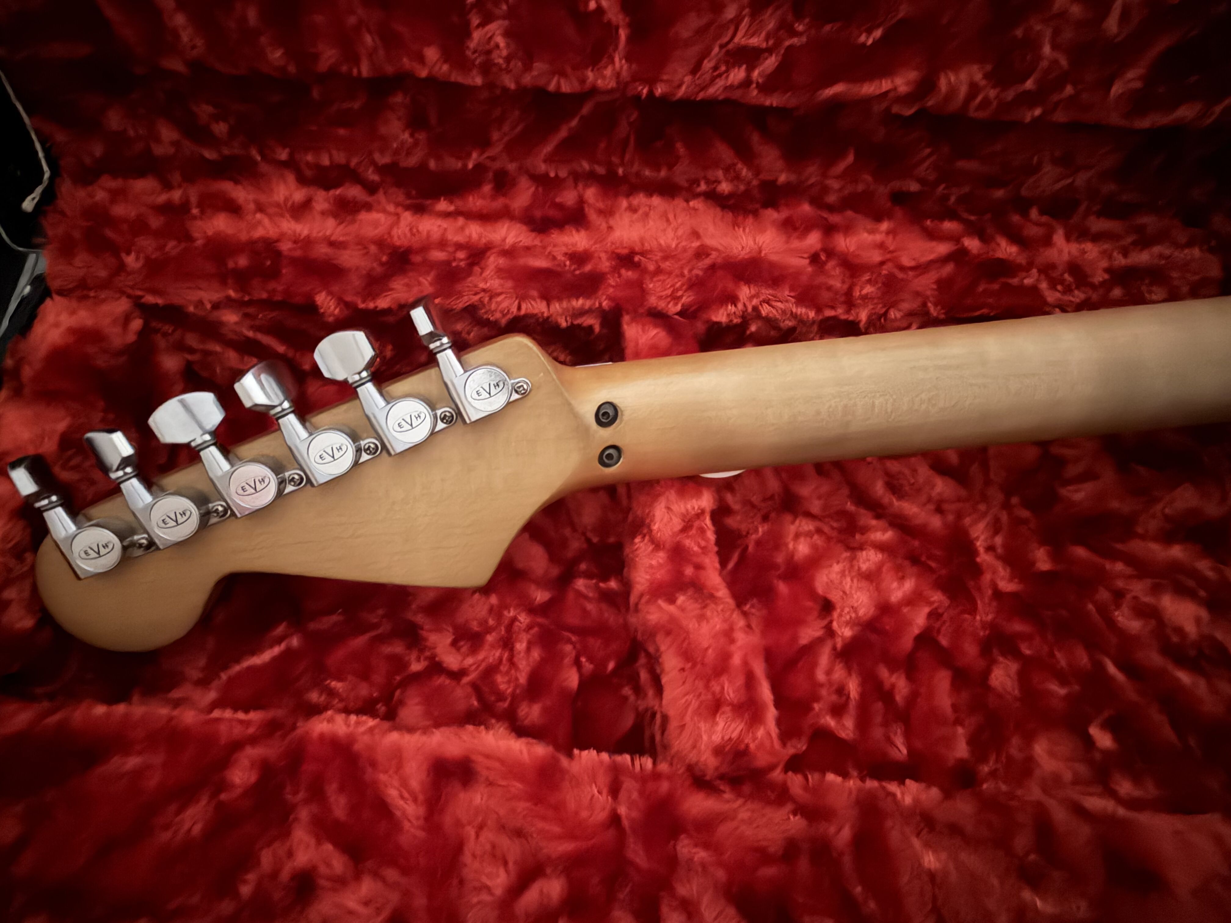 EVH Frankie (63878)