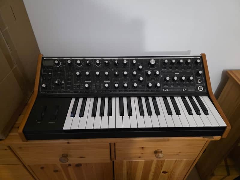 Moog Subsequent 37 – Excellent état – Usage studio uniquement