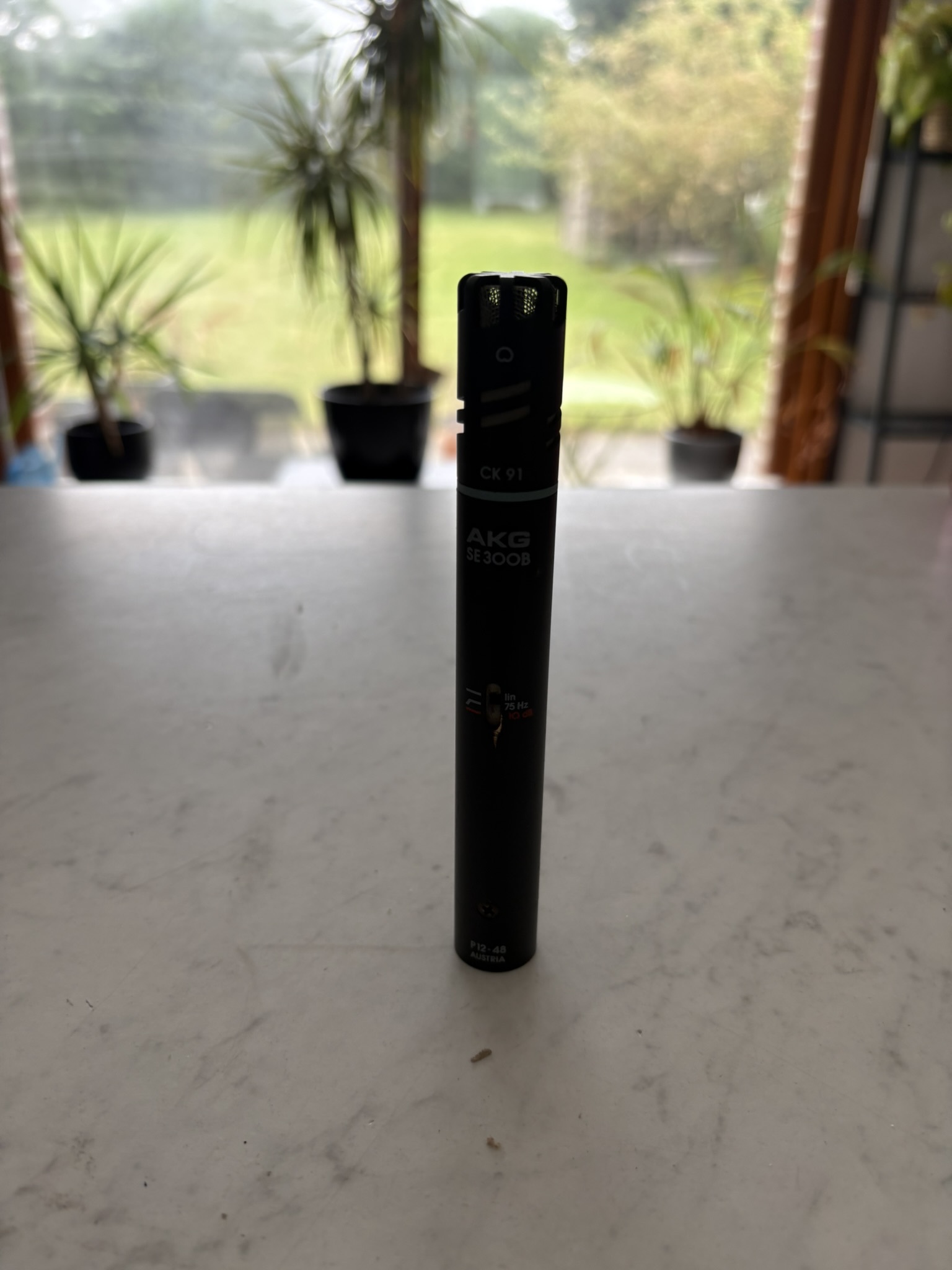 AKG SE300B + capsule CK91