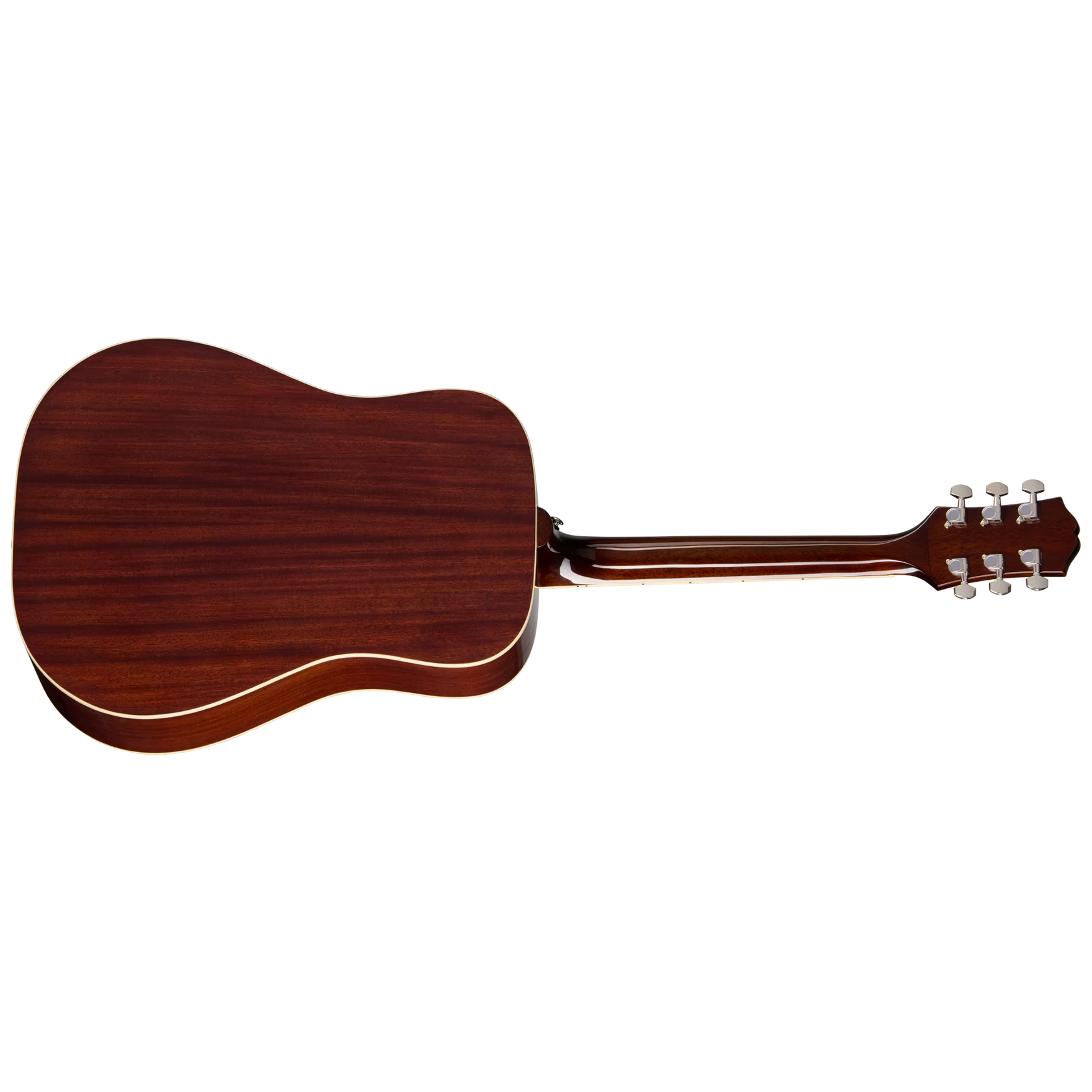 Hummingbird TributeBACK
