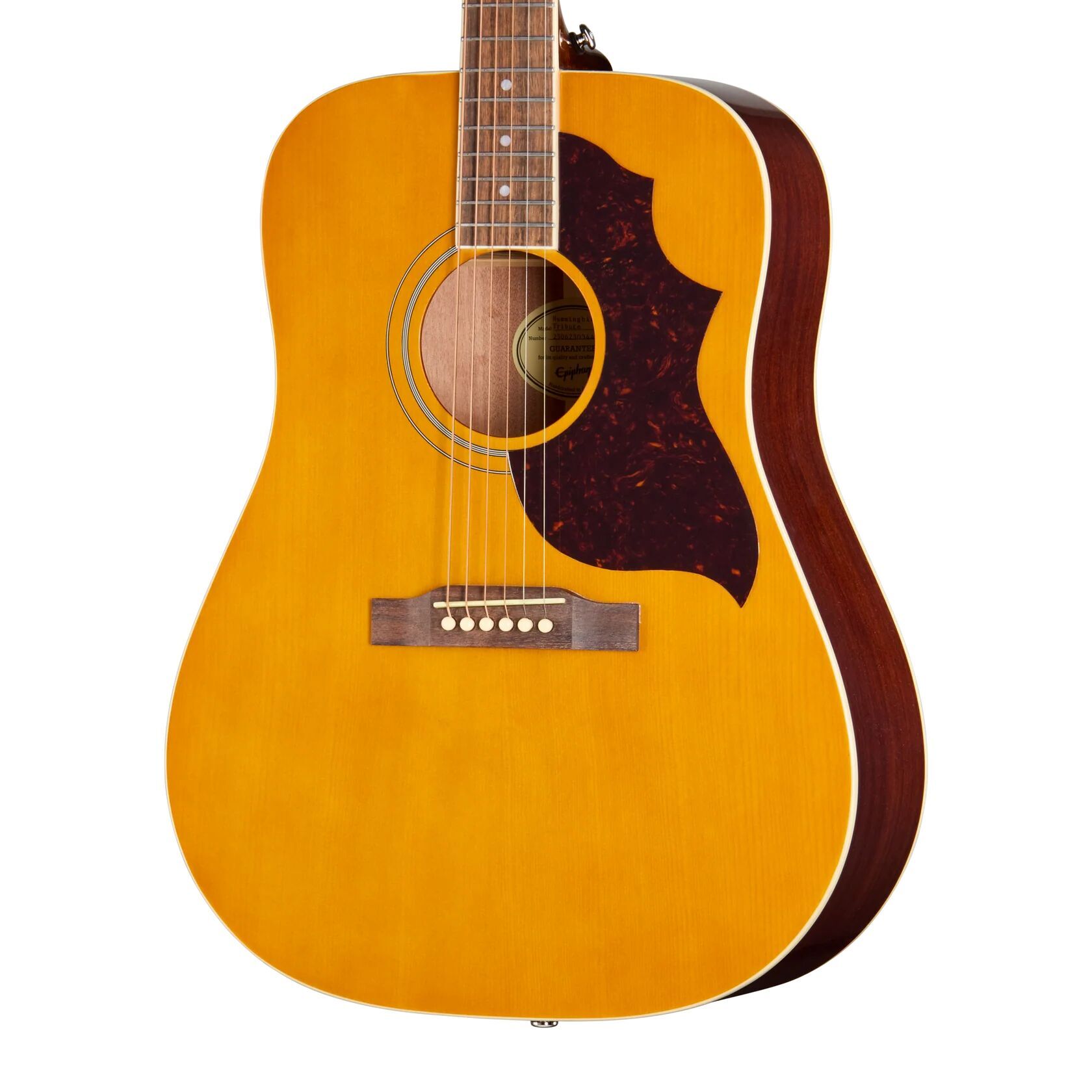 Hummingbird TributeNat