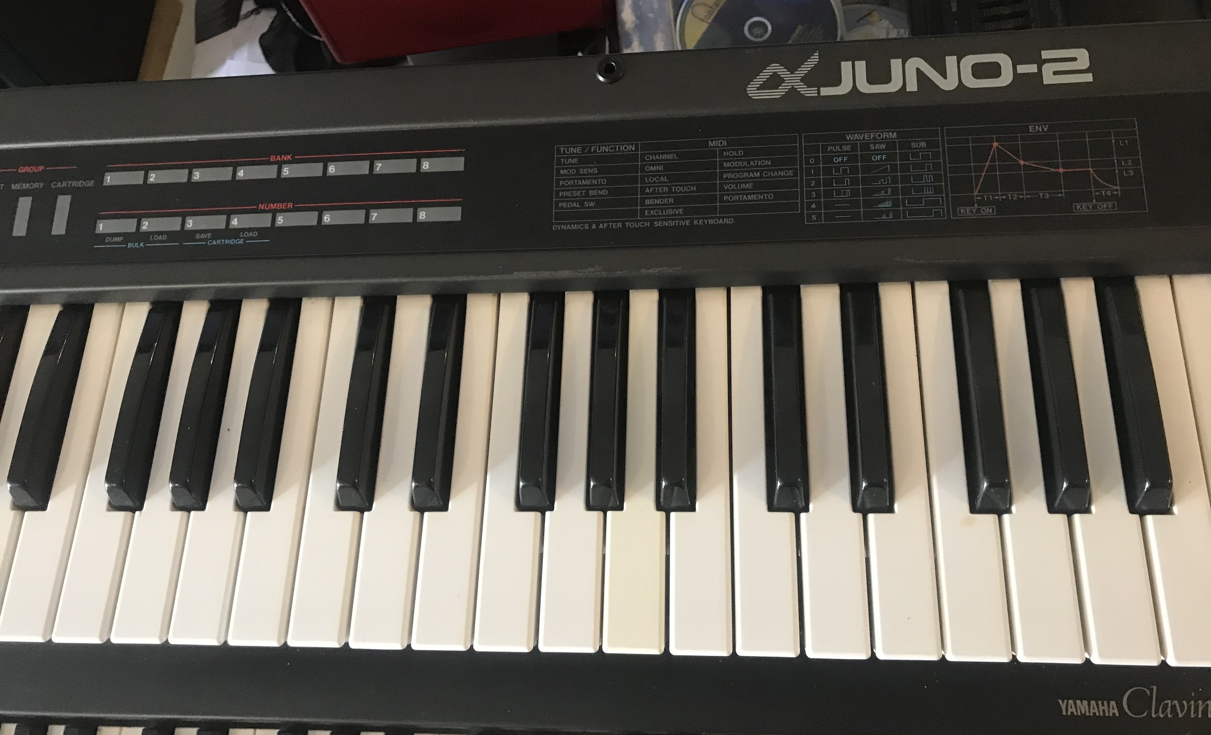 Roland JUNO-2 (43900)