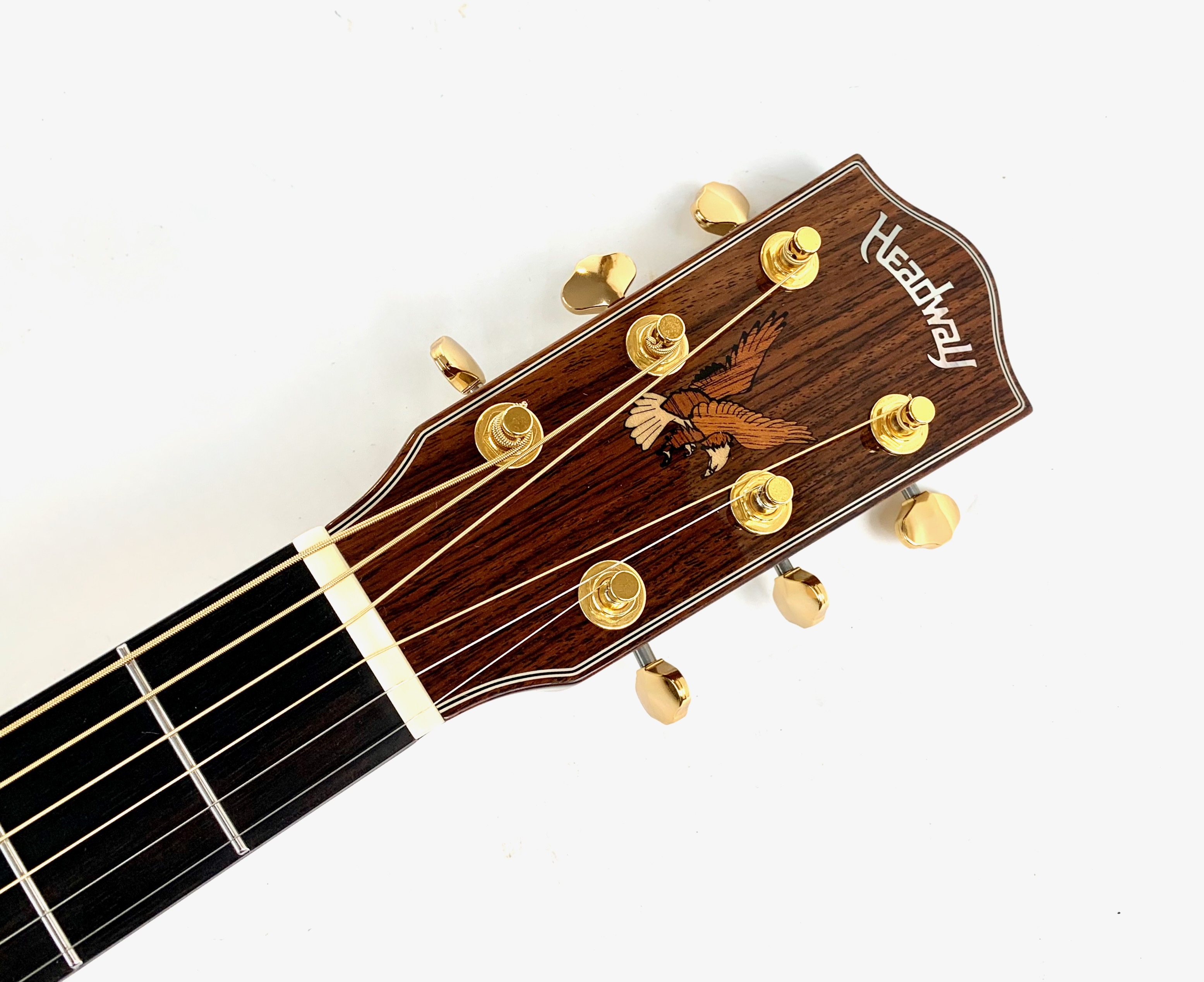Headway Guitars HF-590AS (16647)
