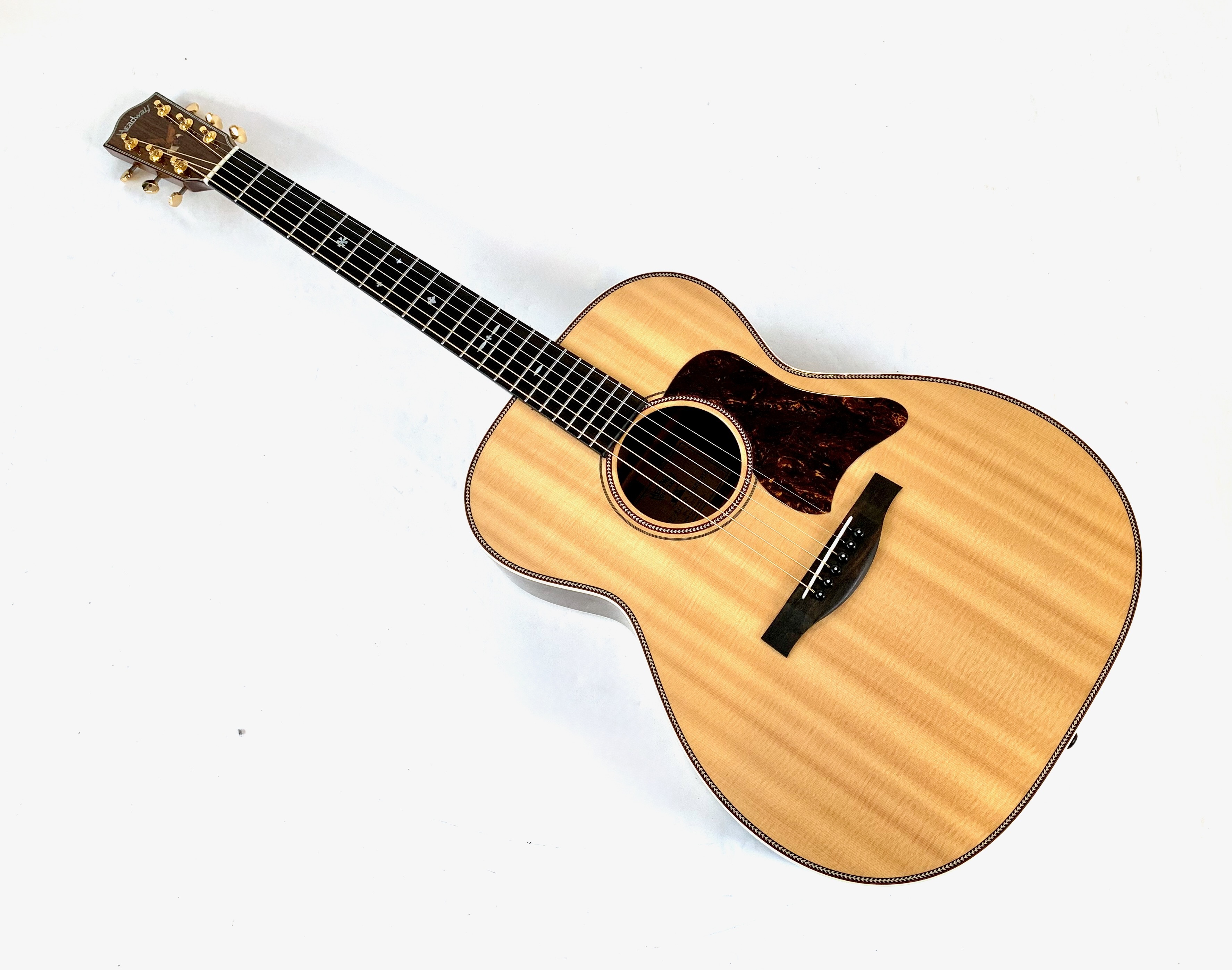 Headway Guitars HF-590AS (6022)