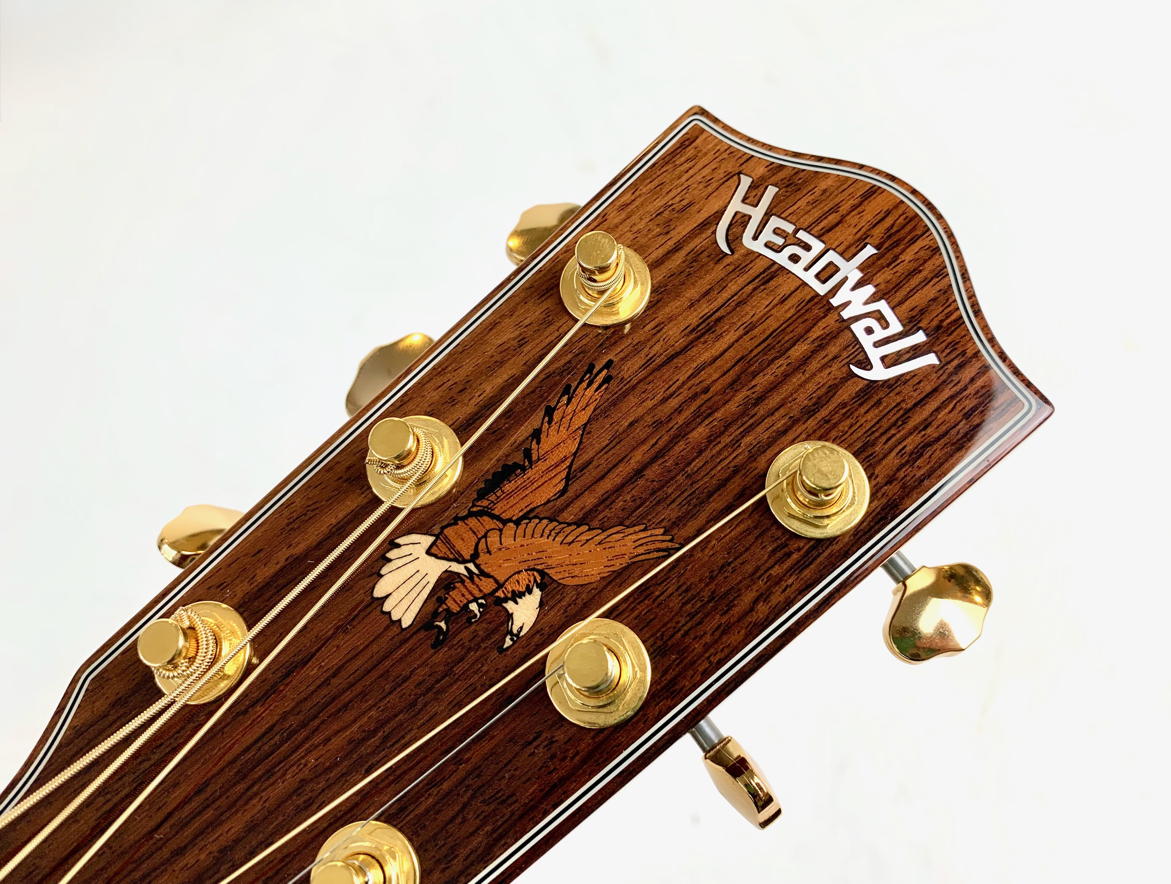 Headway Guitars HF-590AS (10086)