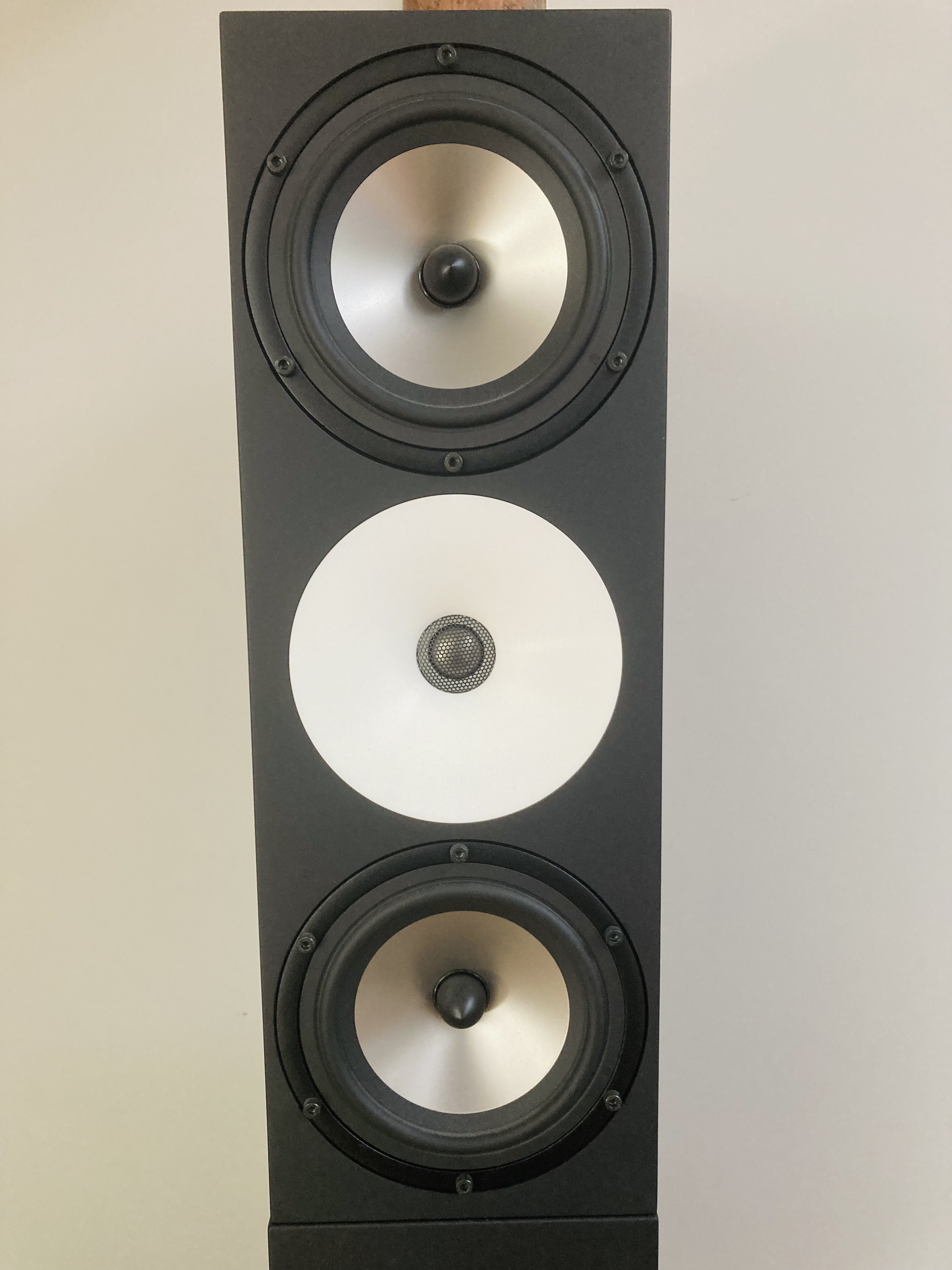 Ampion IMG 2219